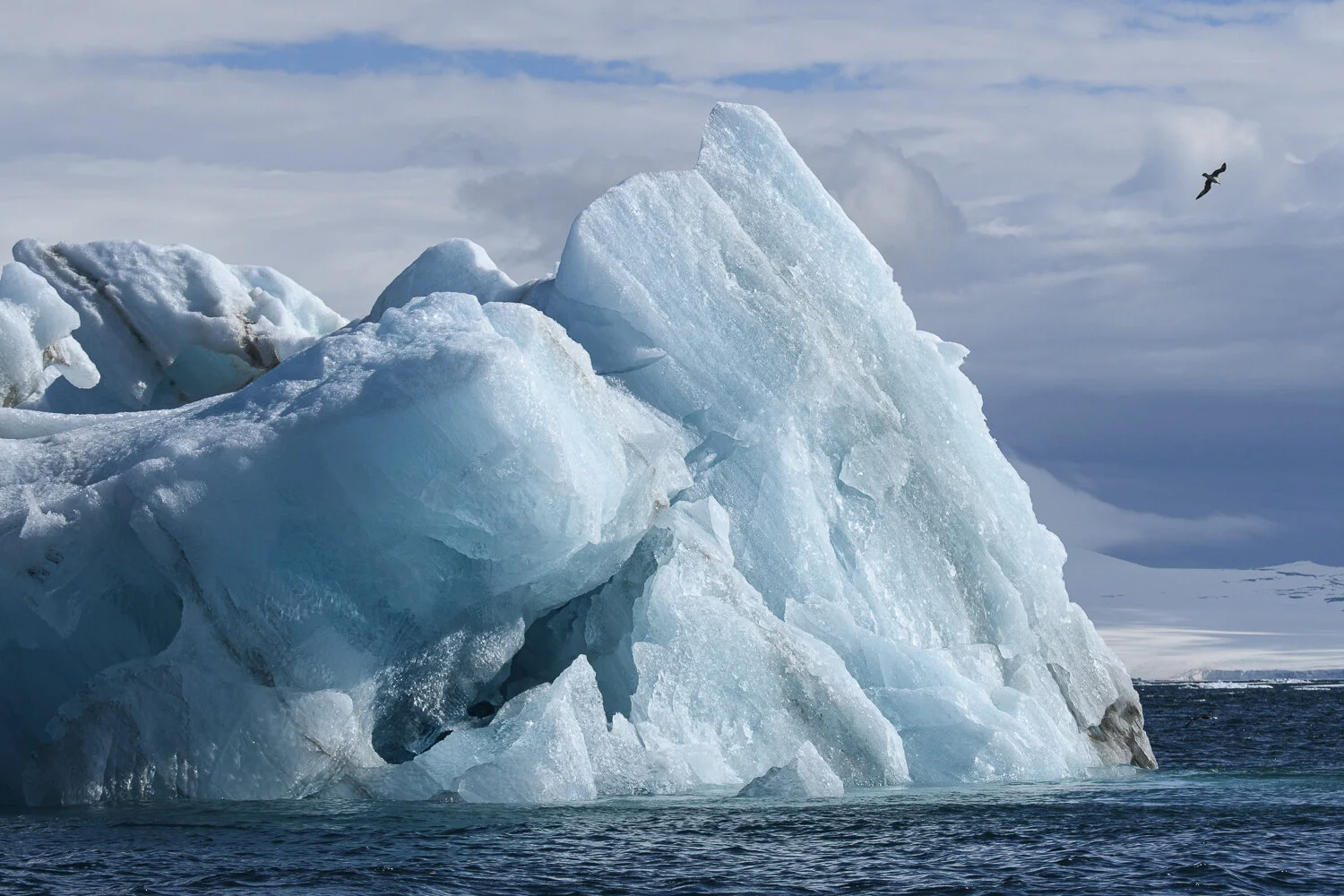 Svalbard 2020 (1 av 1)-26.jpg