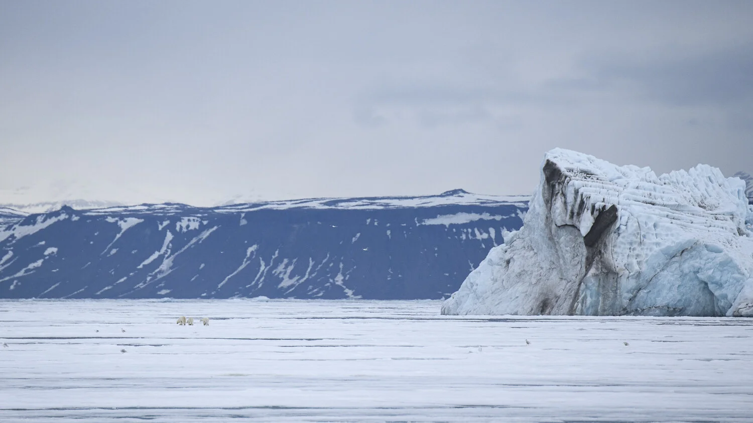 Svalbard 2020 (1 av 1)-36.jpg