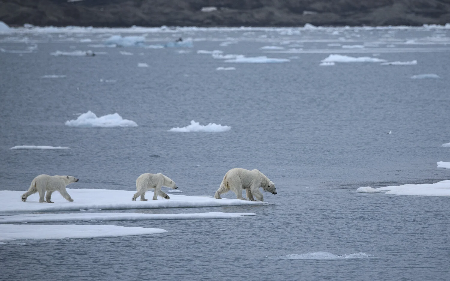Svalbard 2020 (1 av 1)-39.jpg