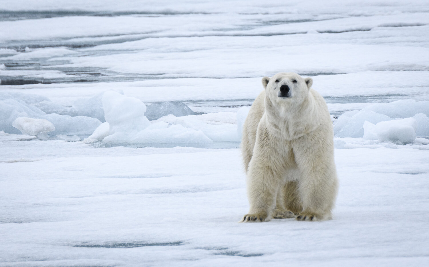 Svalbard 2020 (1 av 1)-48.jpg