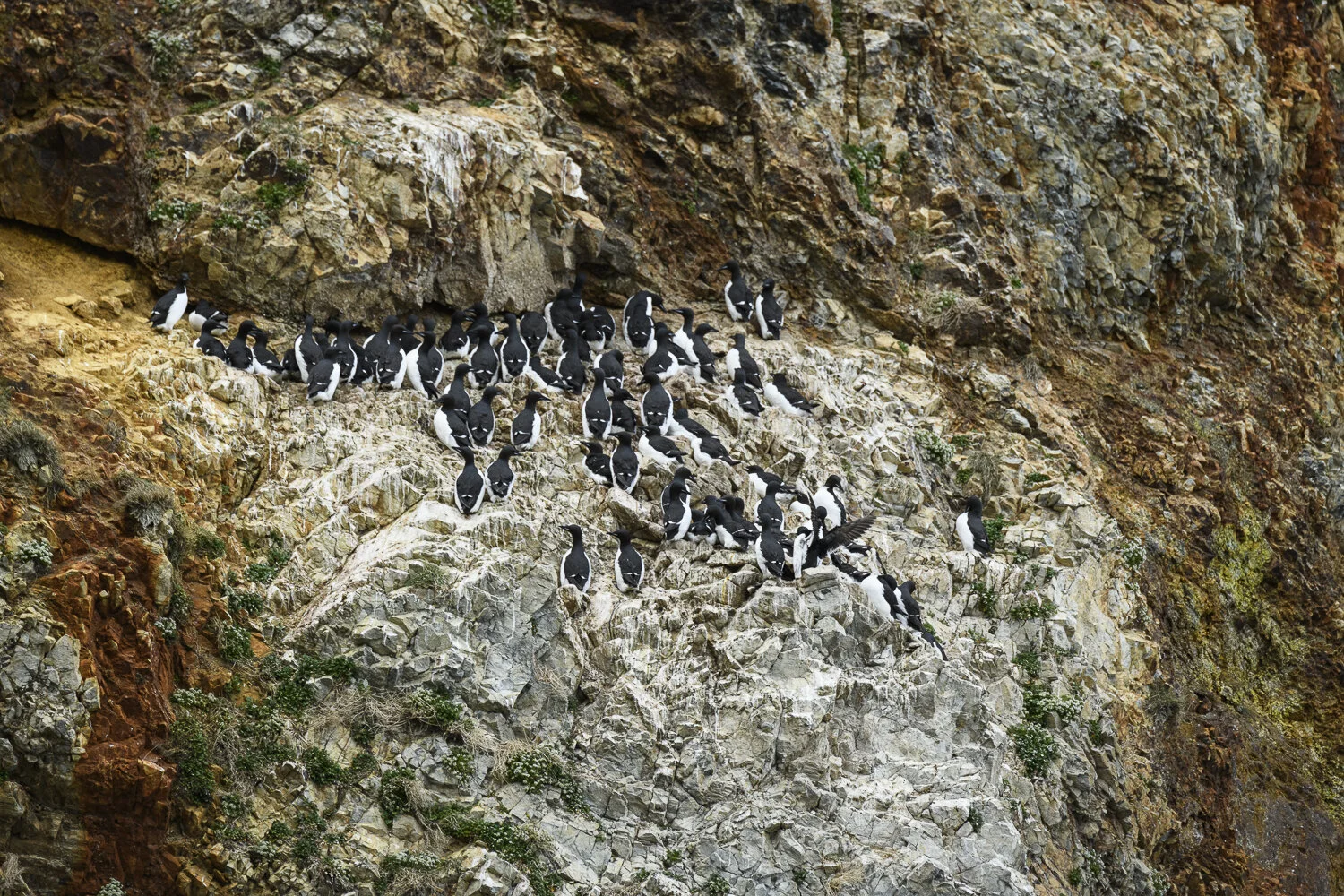 Svalbard 2020 (1 av 1)-52.jpg