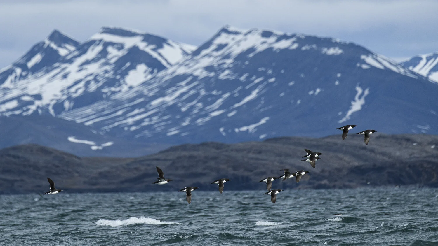 Svalbard 2020 (1 av 1)-53.jpg
