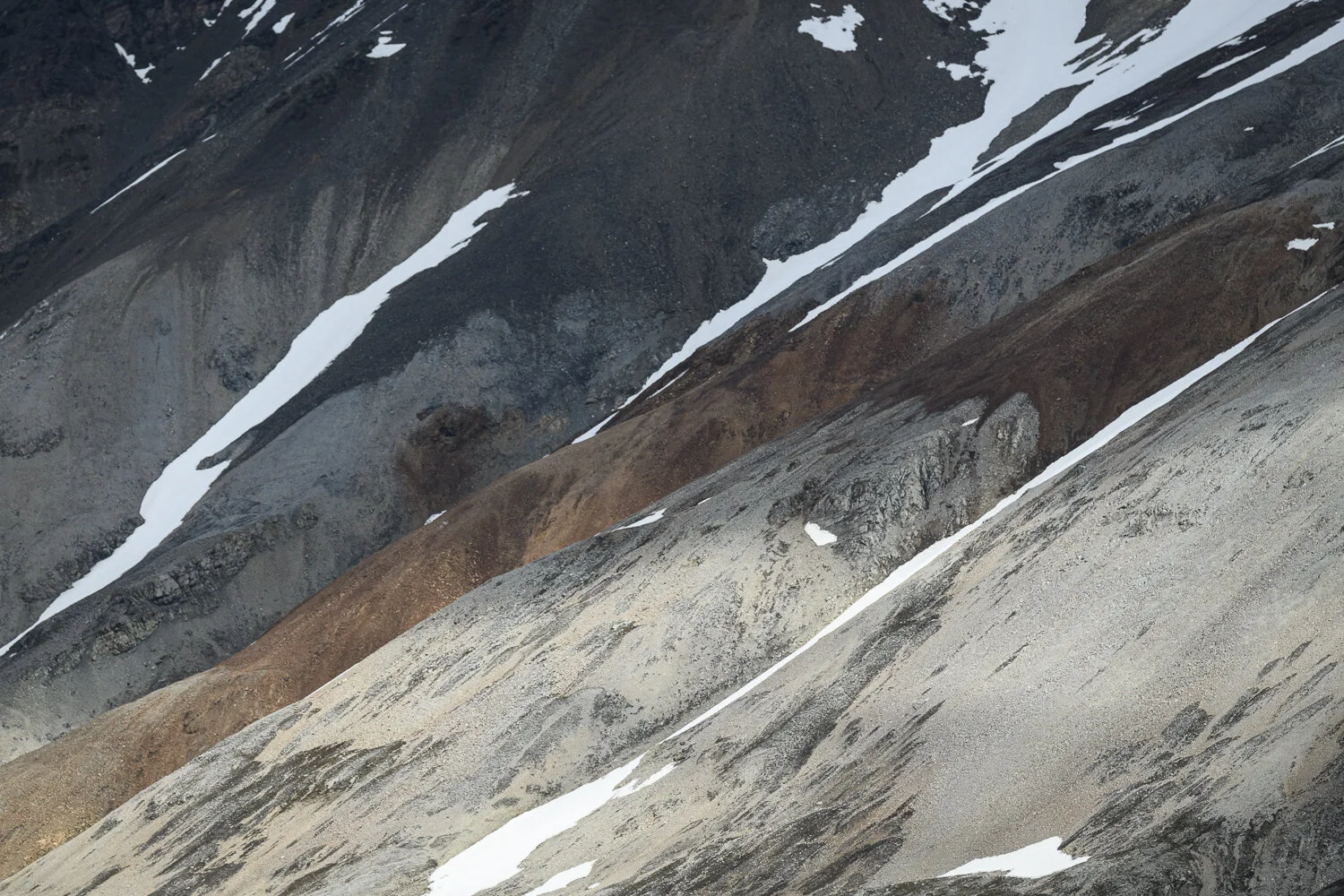 Svalbard 2020 (1 av 1)-57.jpg