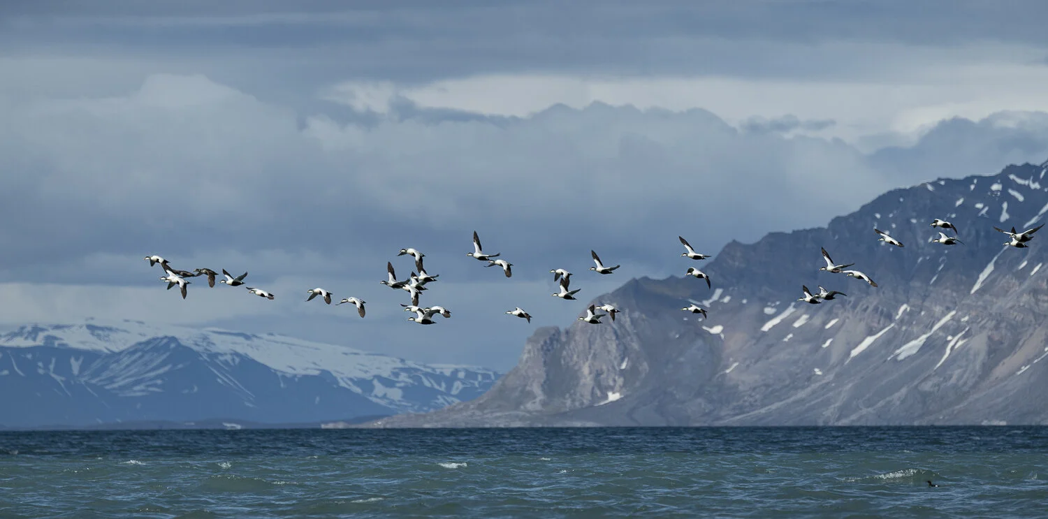 Svalbard 2020 (1 av 1)-58.jpg