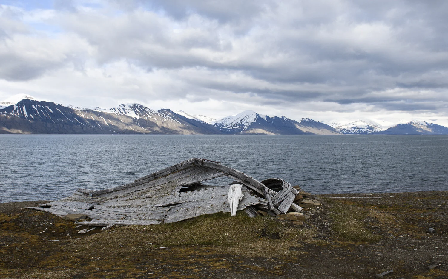 Svalbard 2020 (1 av 1)-60.jpg