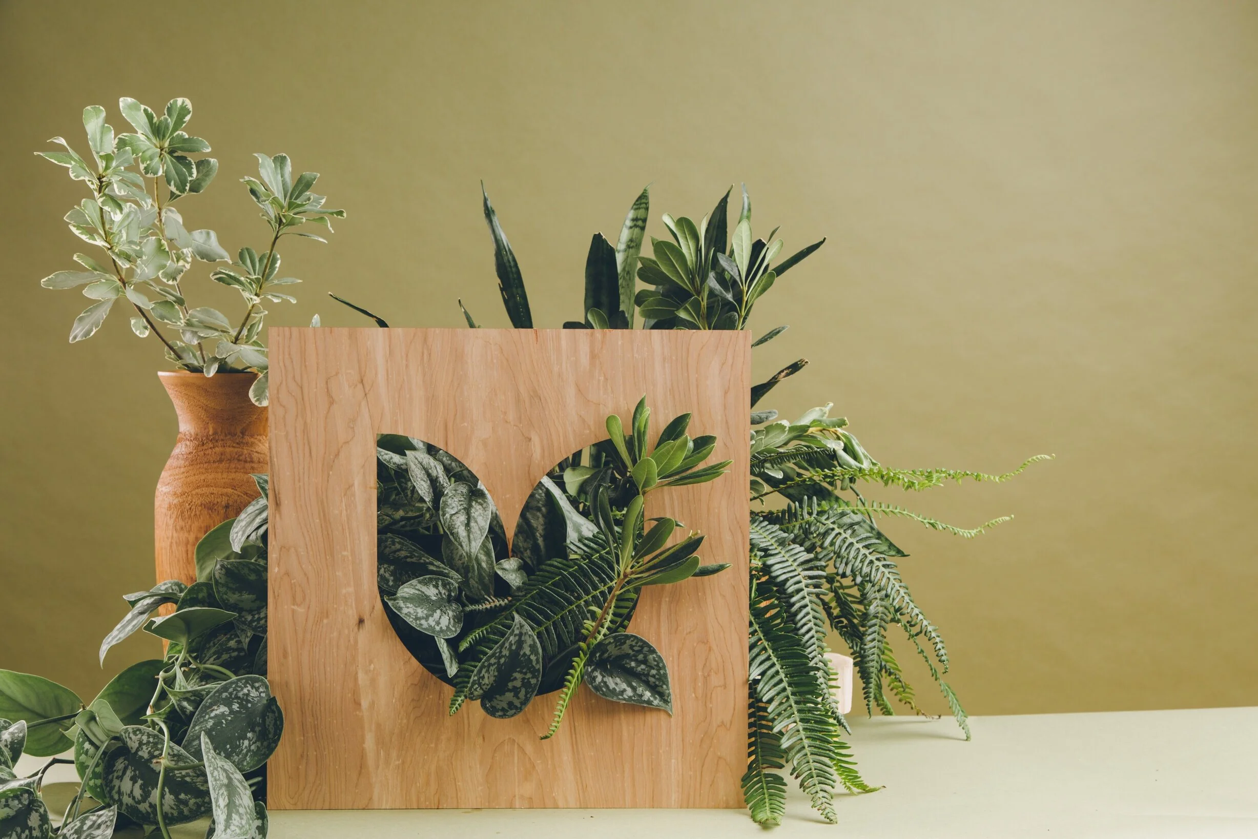 GardenSystem-1043.jpg