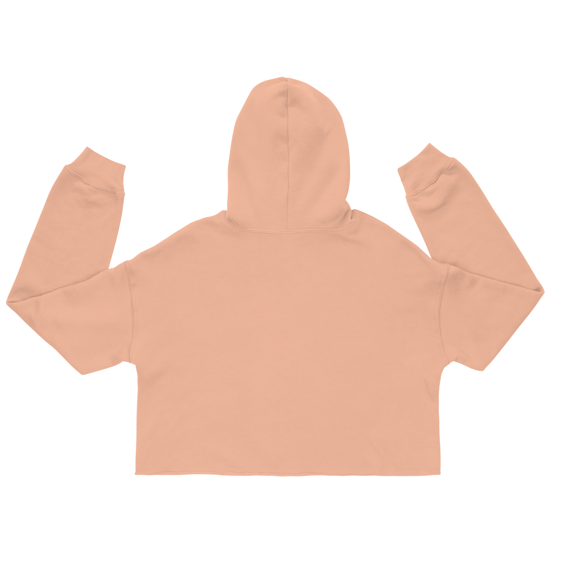 womens-cropped-hoodie-peach-back-6a7fc4ccda073.png