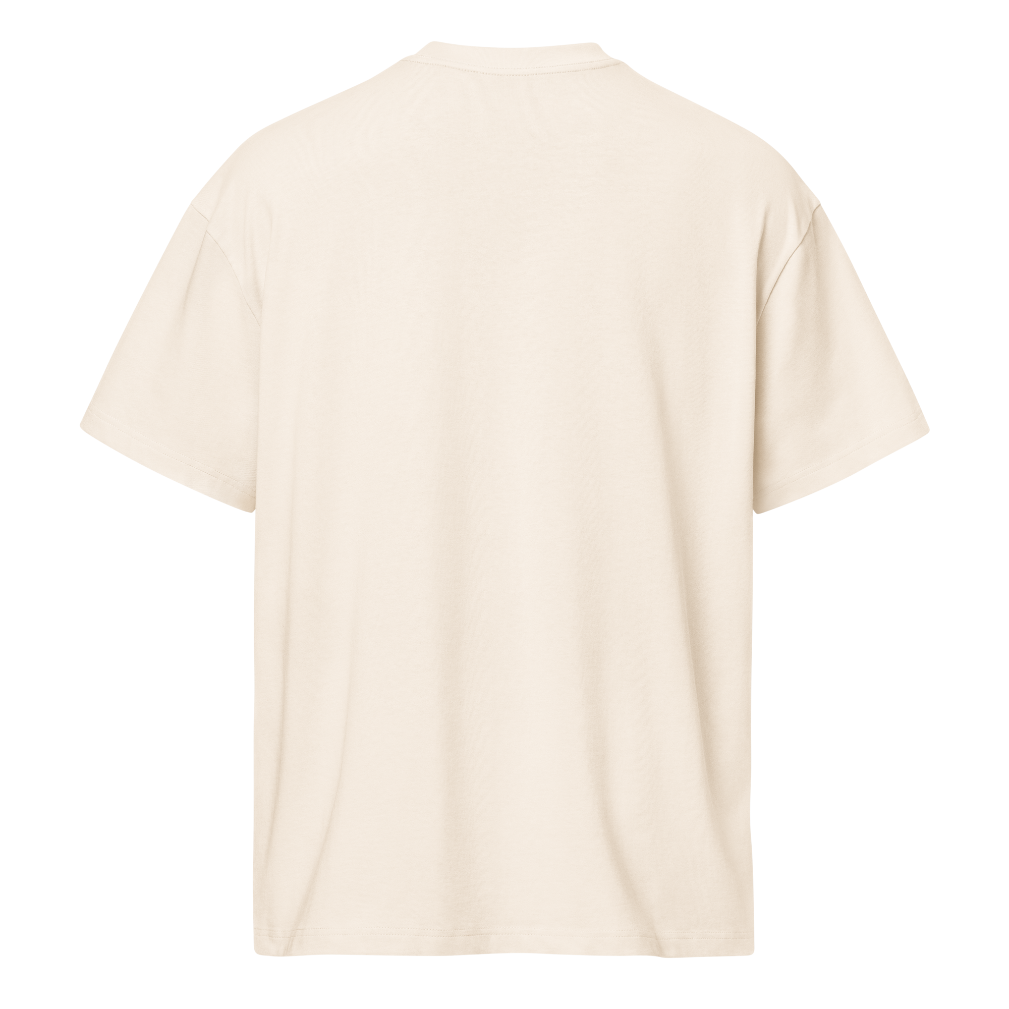mens-box-tee-vintage-white-back-691cf35700161.png