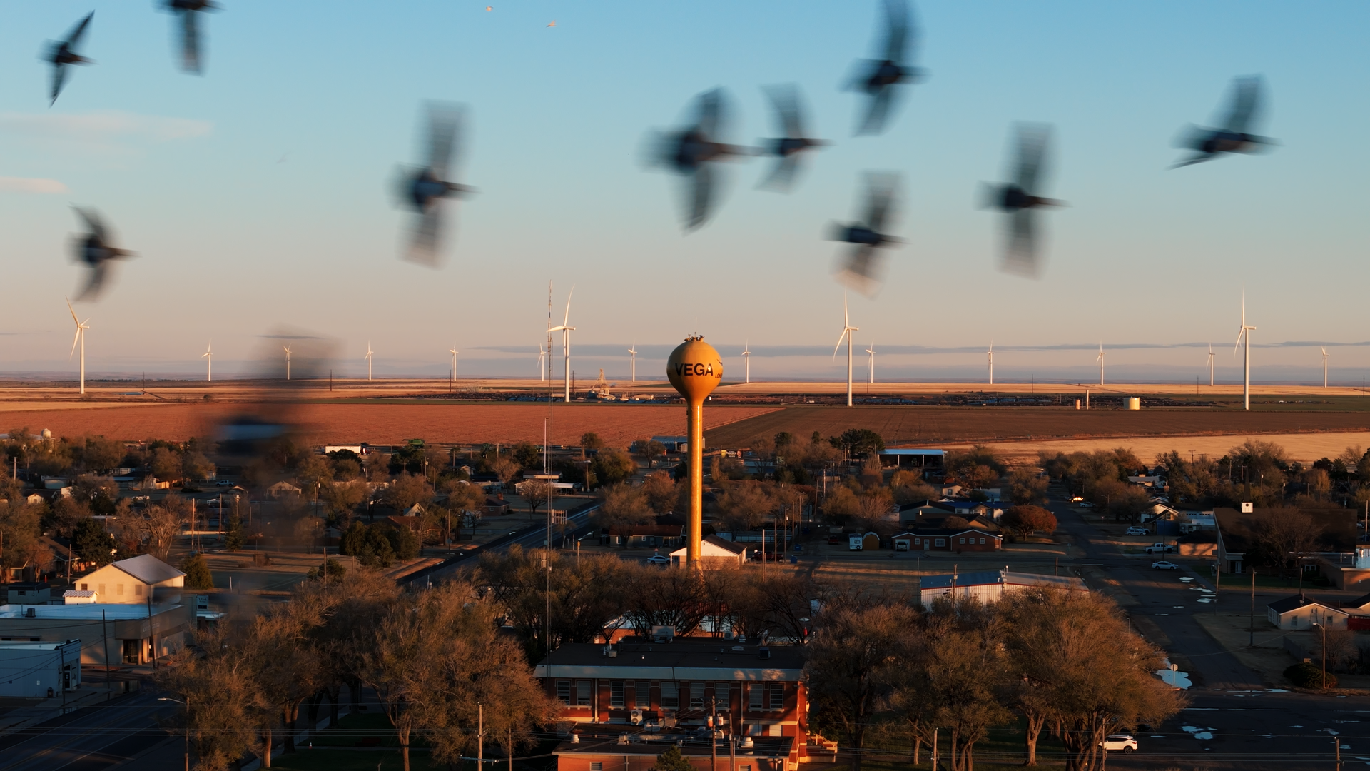 Still 2025-11-25 025226_1.15.1.png