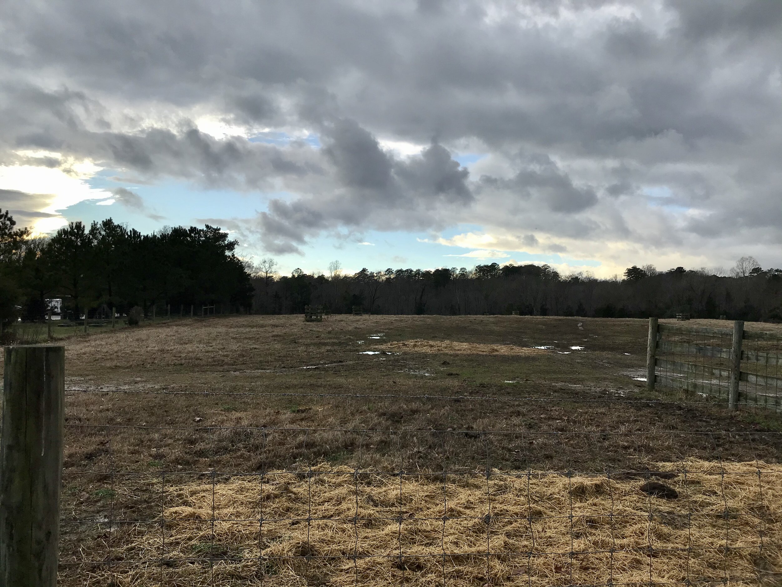 Field on a wet winter day