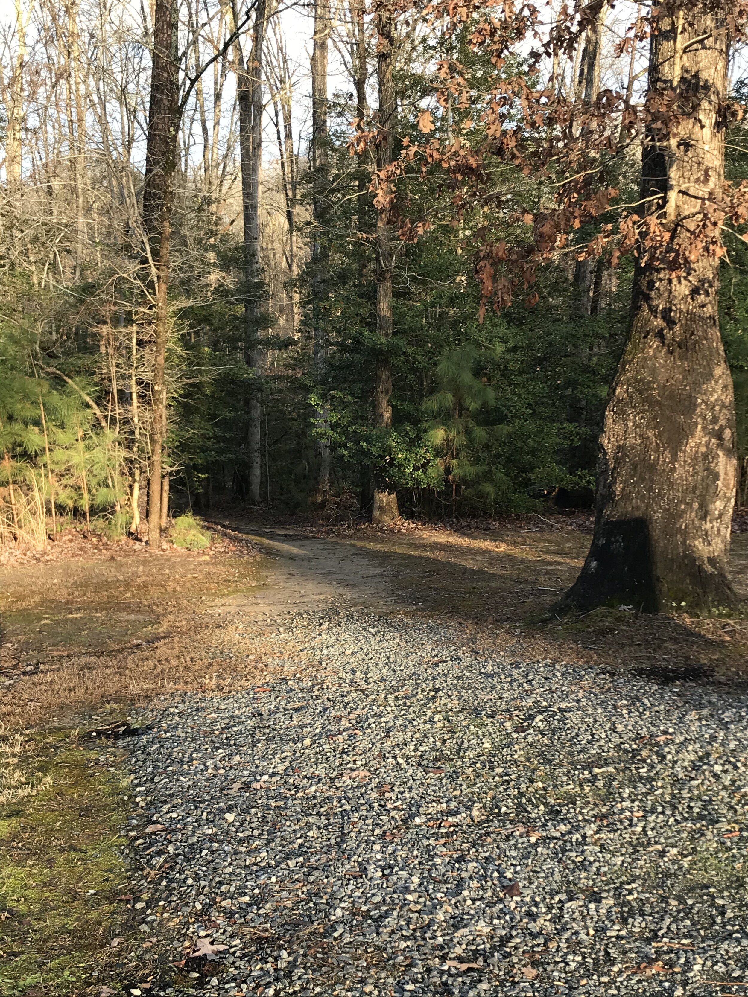 The entrance to Tuttle Trail