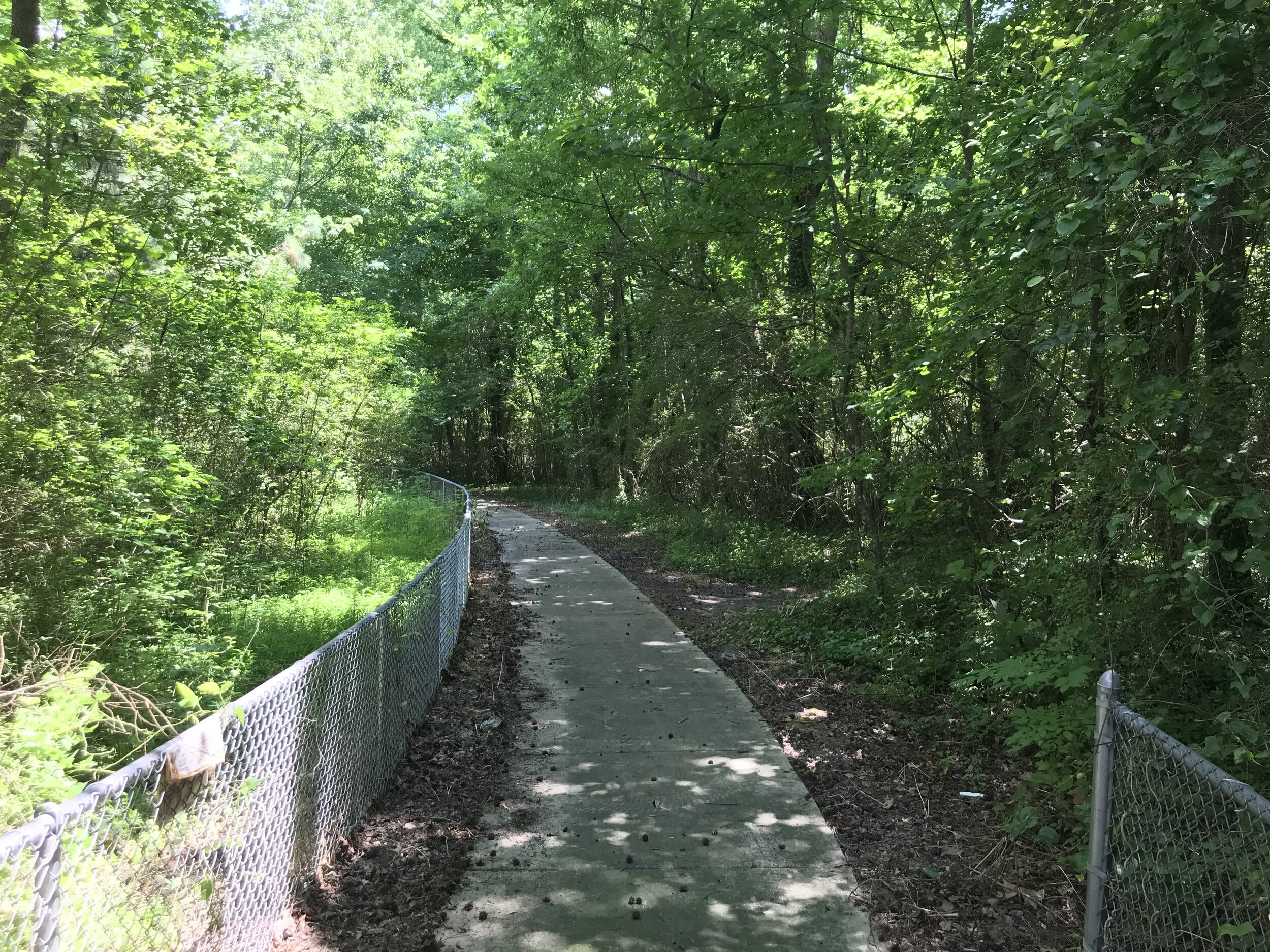 Wooded trail at the southeastern corner of the park
