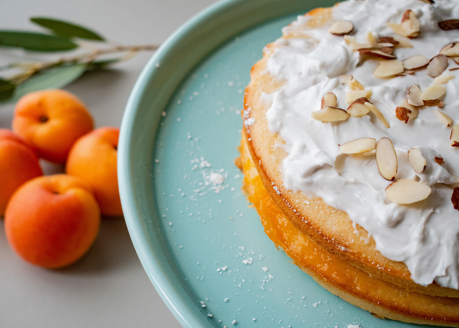 Vegan-Apricot-And-Almond-Cake-Green-Eatalia-crvnka-Photography.JPG