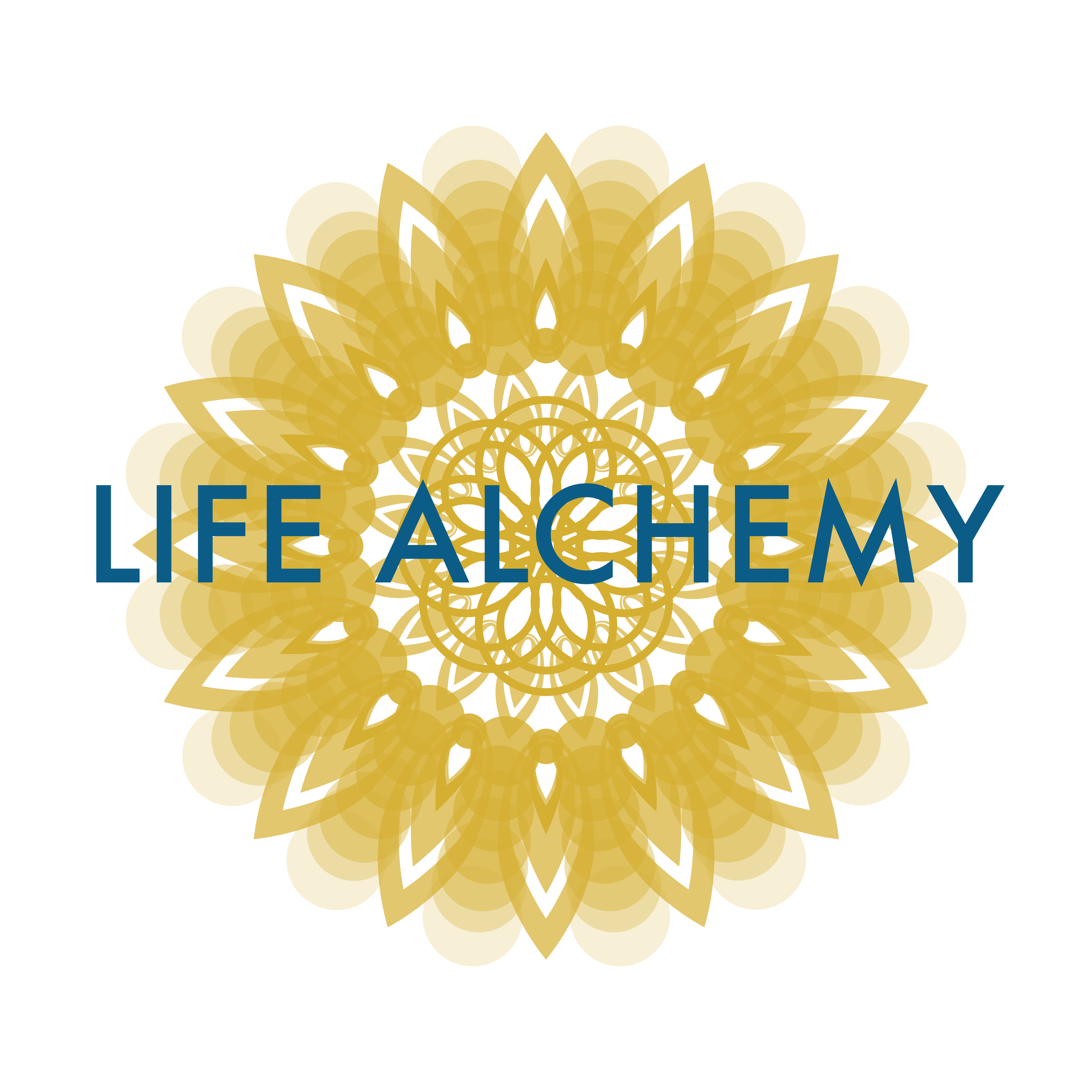Life Alchemy Coaching Package