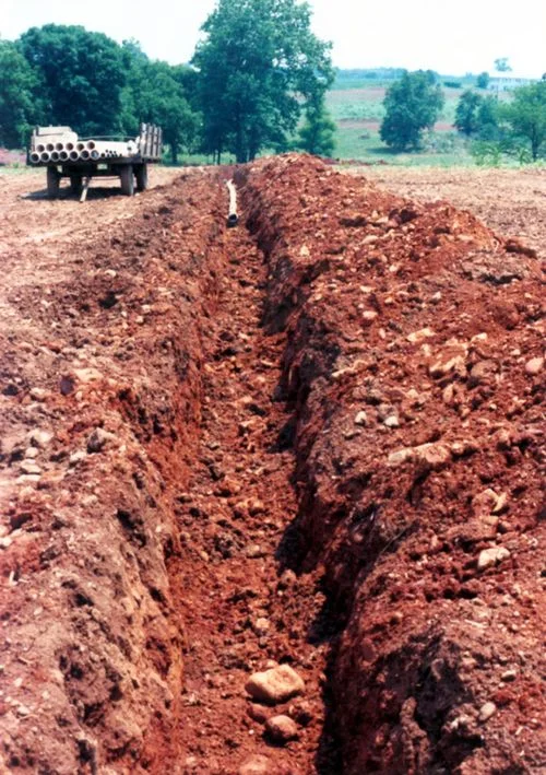 Irrigation 1.jpg