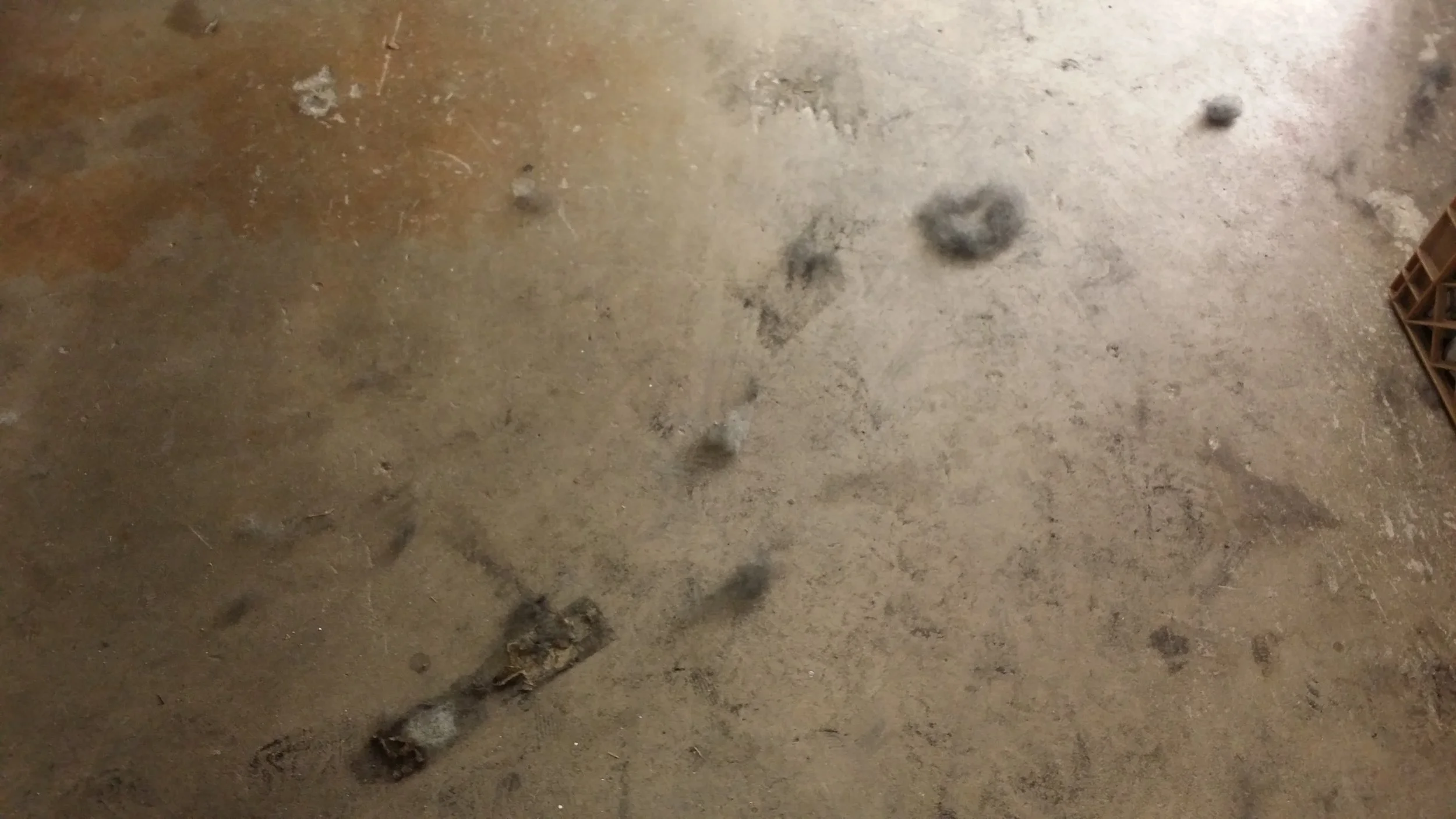 20150322_103621.jpg