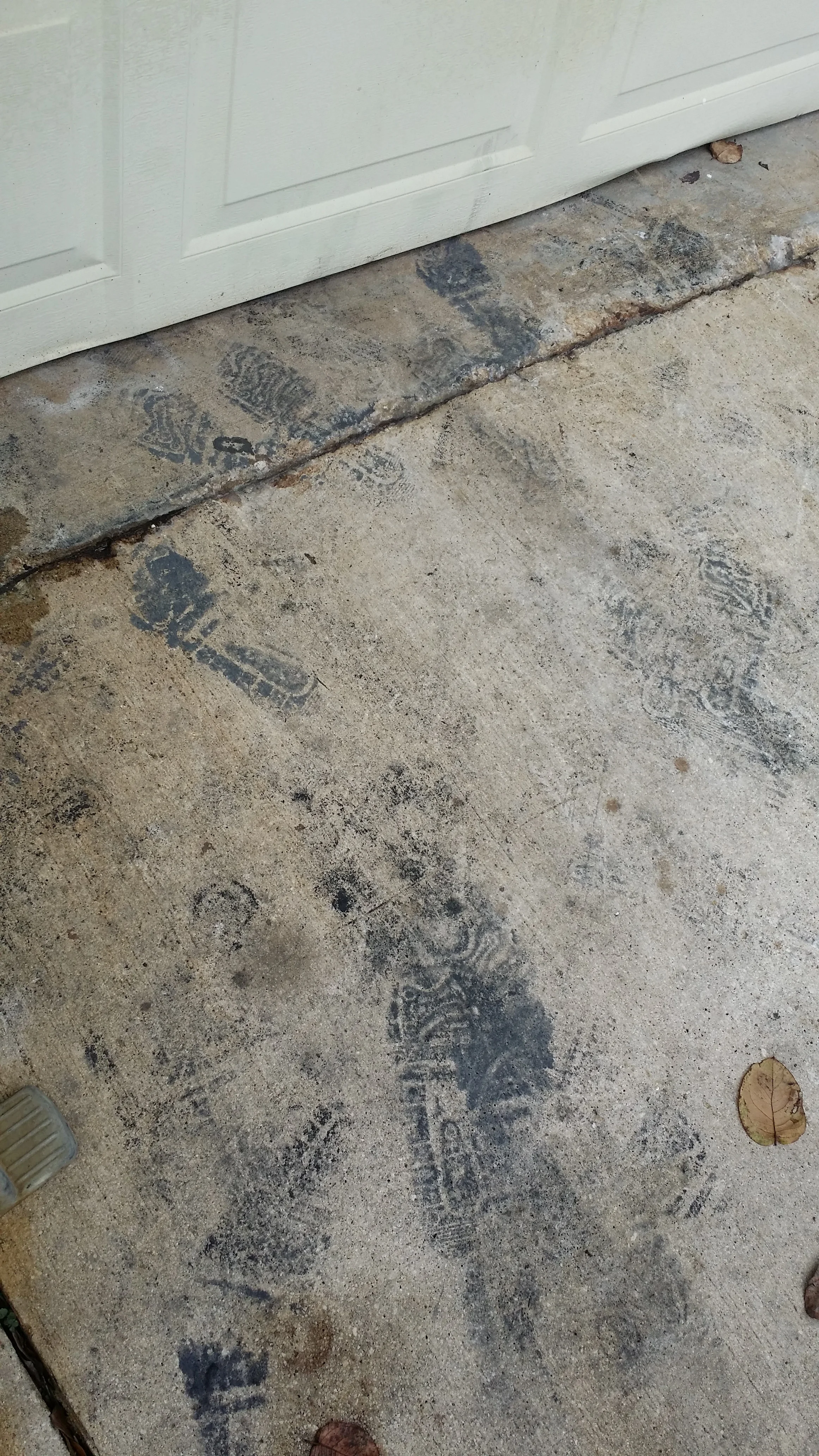 20150322_103840.jpg
