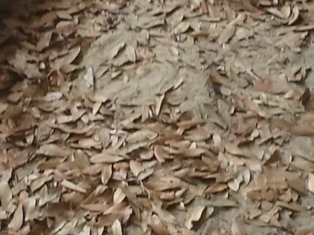 ANDROID 7-10-2012 261.jpg
