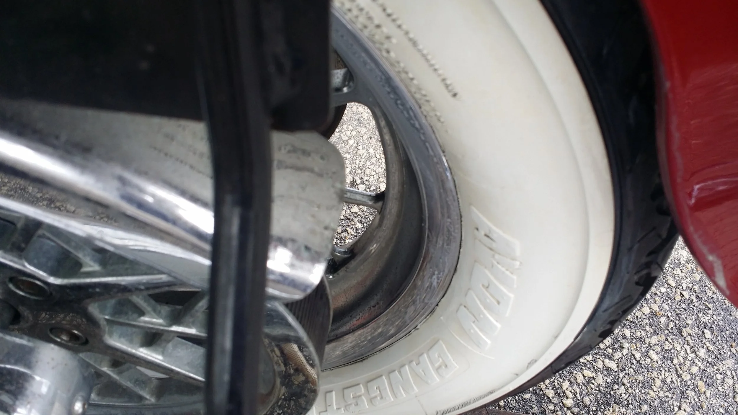 20160305_123559.jpg