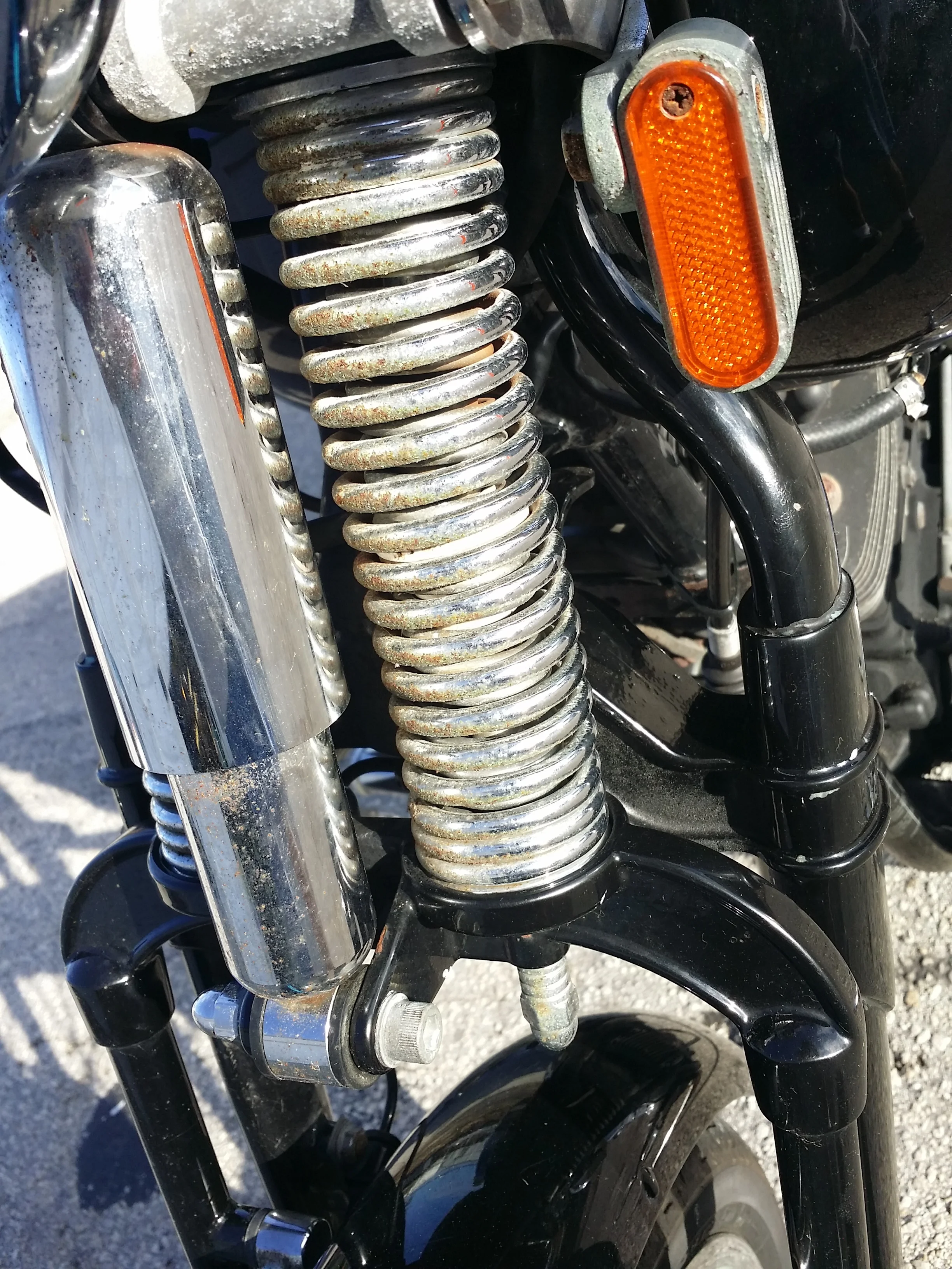 20150920_174604.jpg