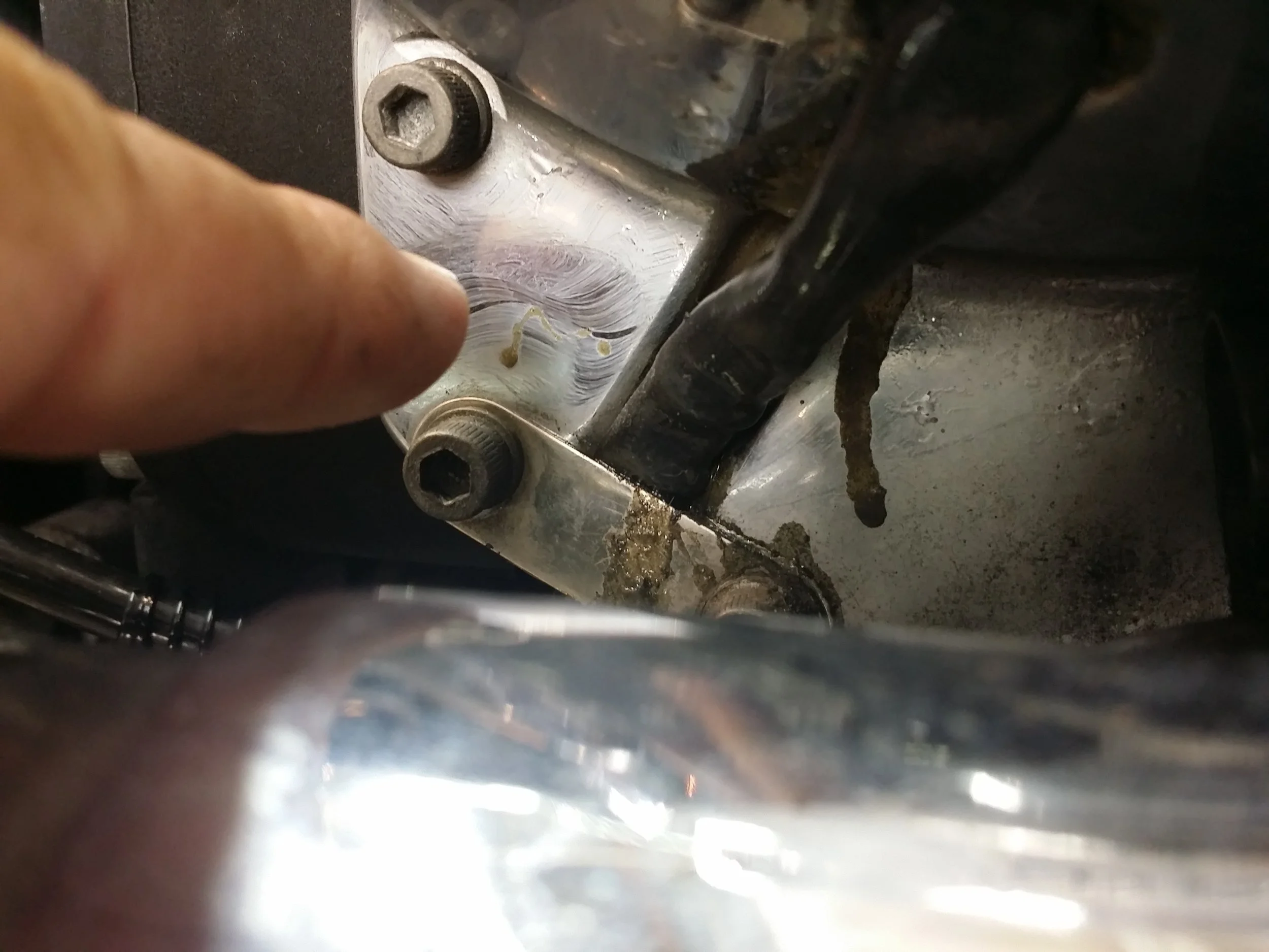 20150920_195219.jpg