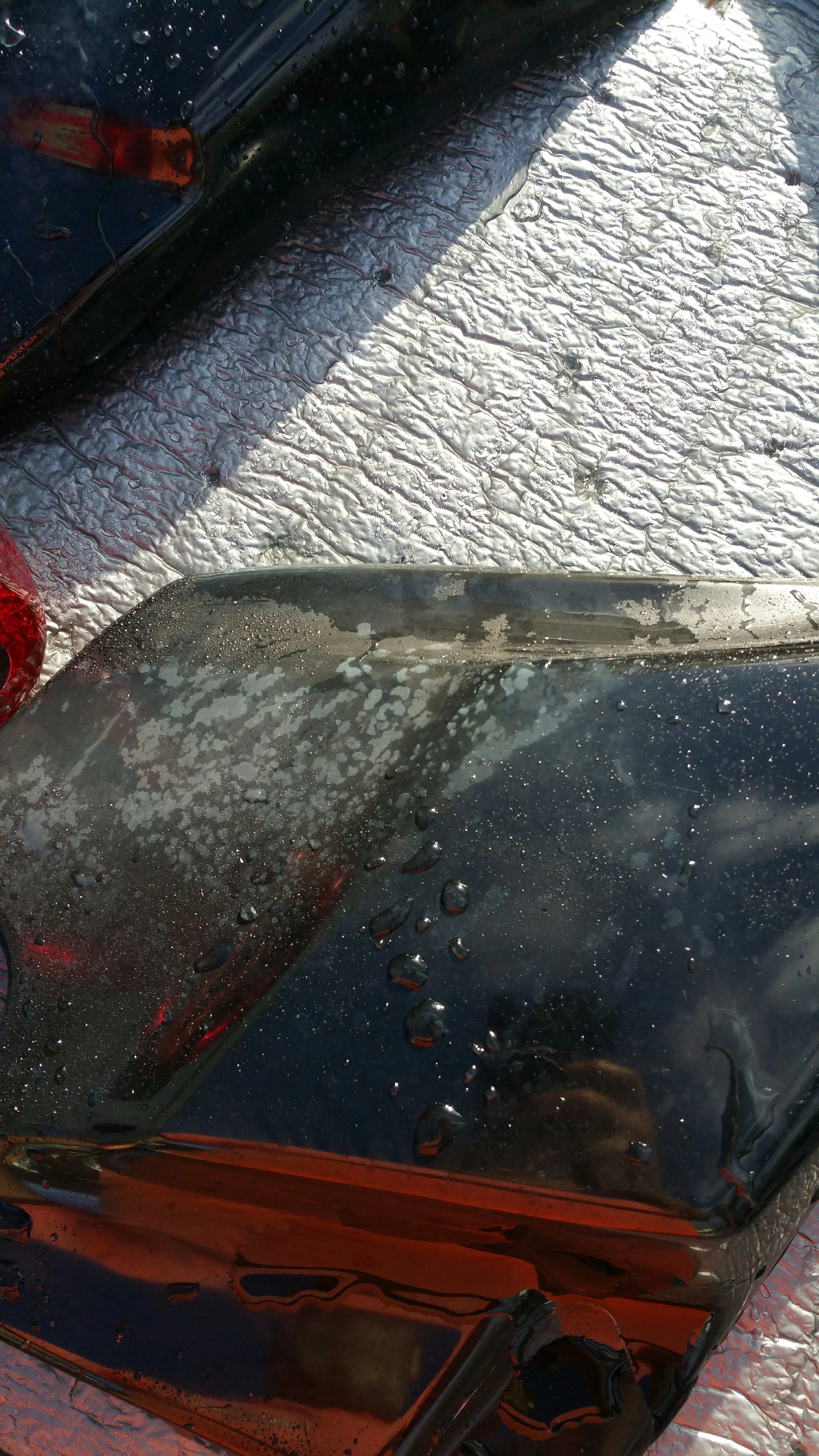 20180219_163717.jpg