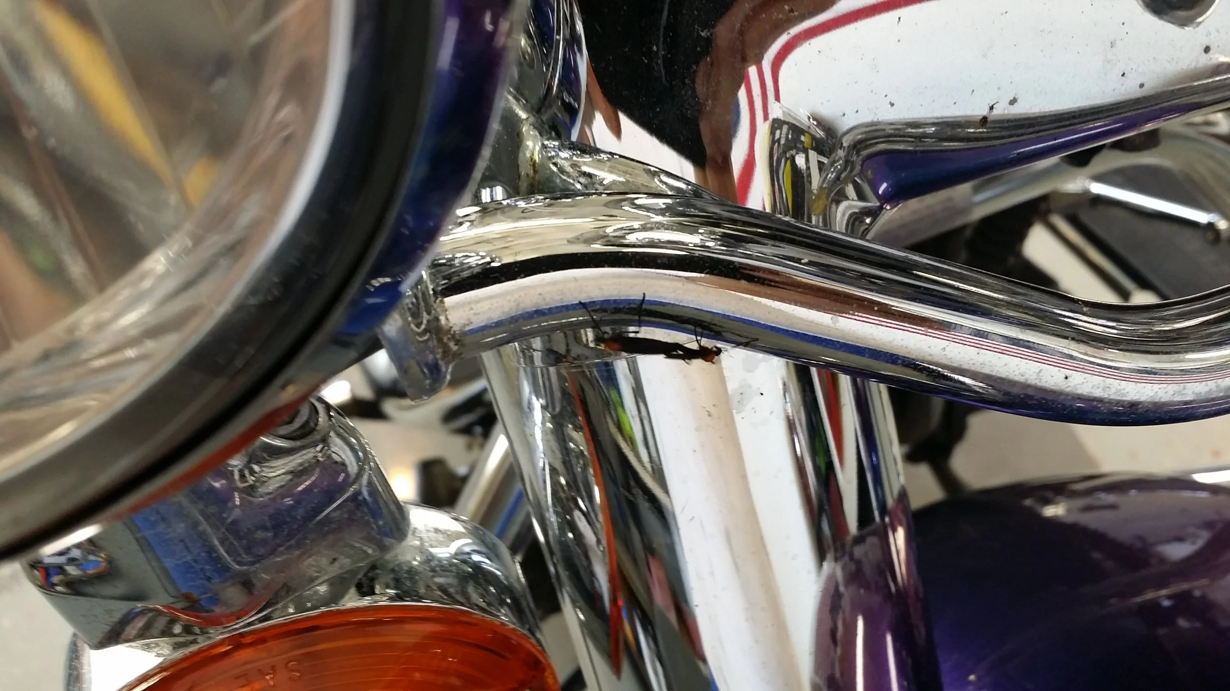 20150902_153752.jpg