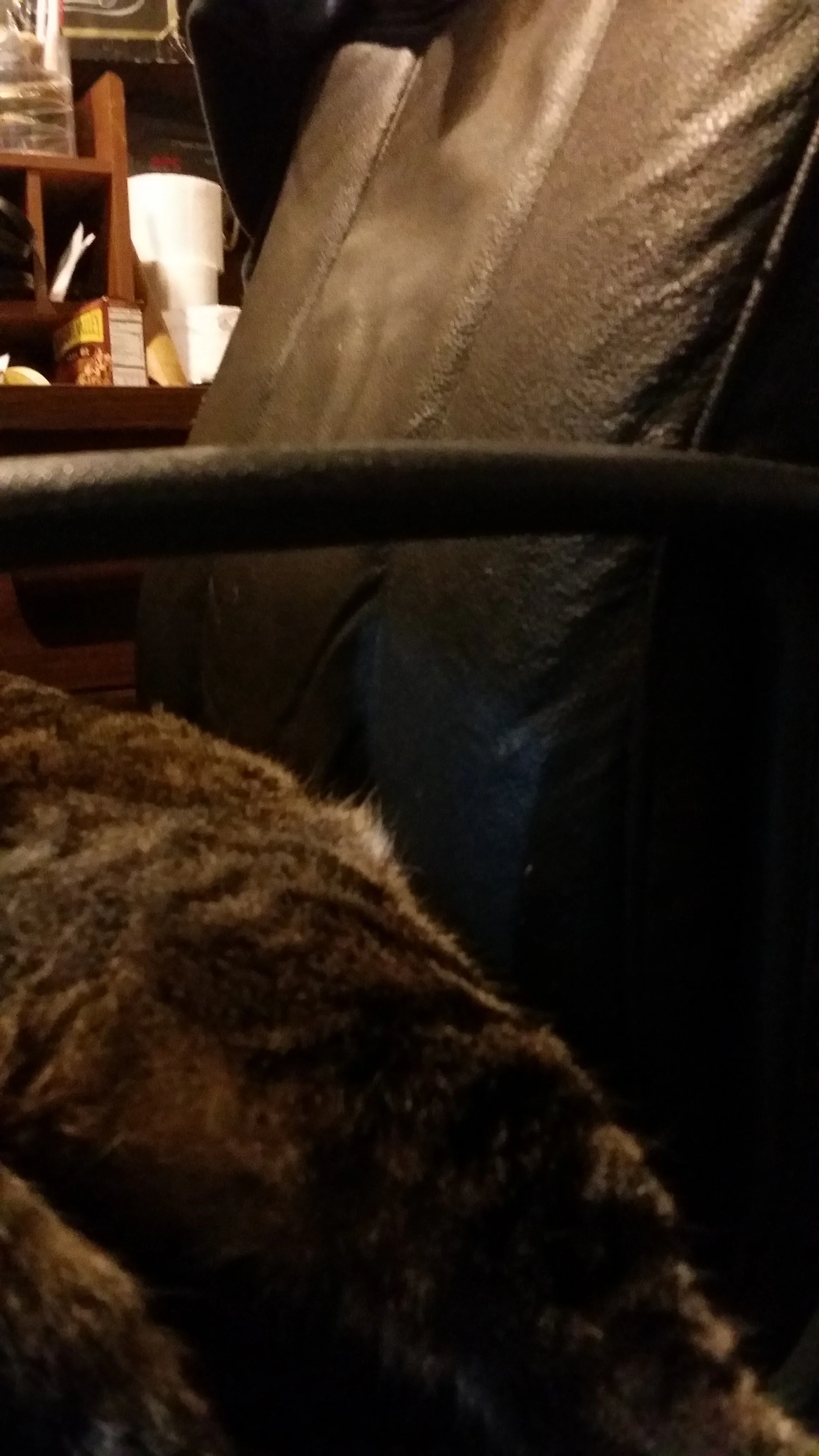 20150206_142417.jpg