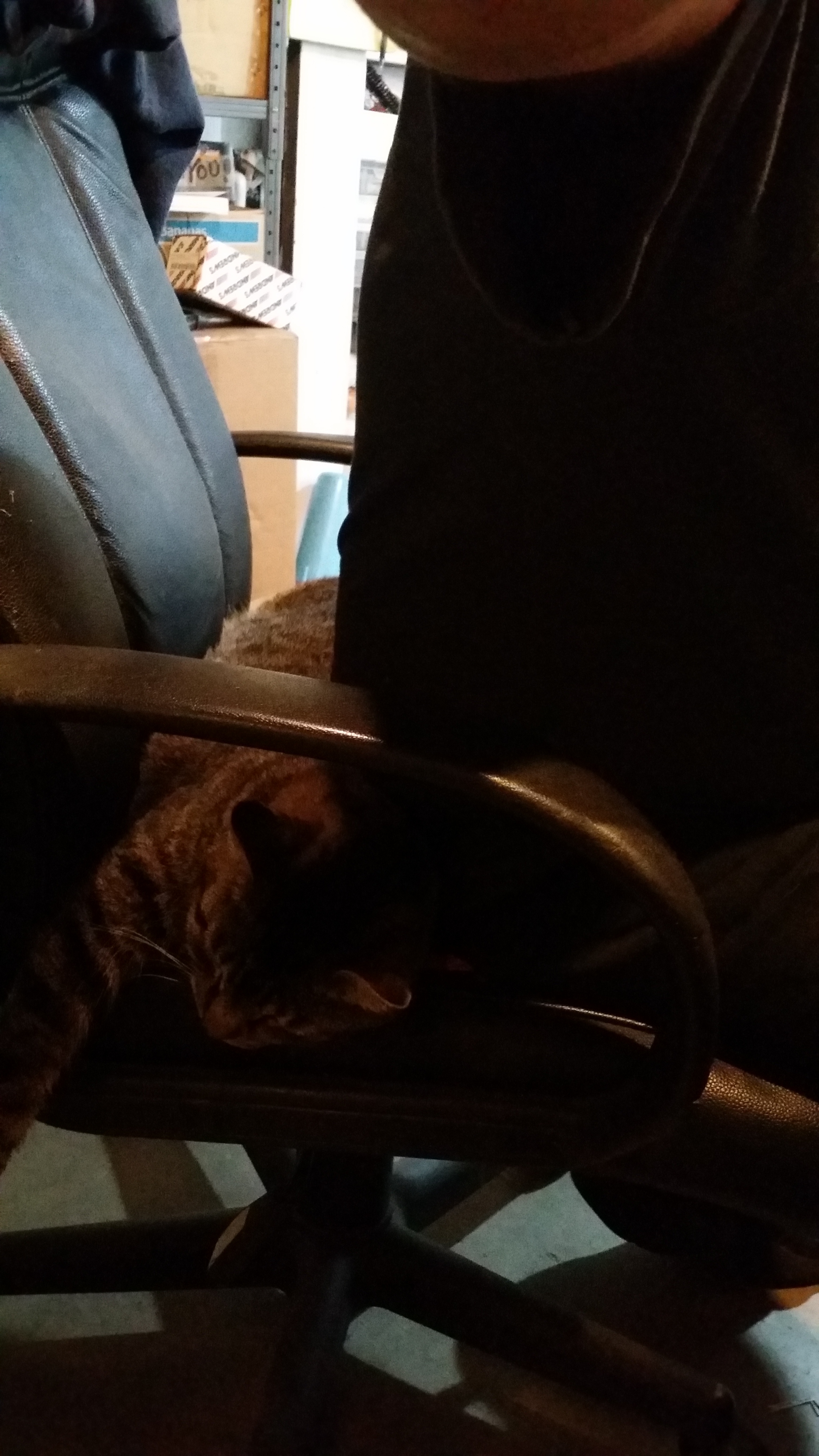 20150206_142450.jpg