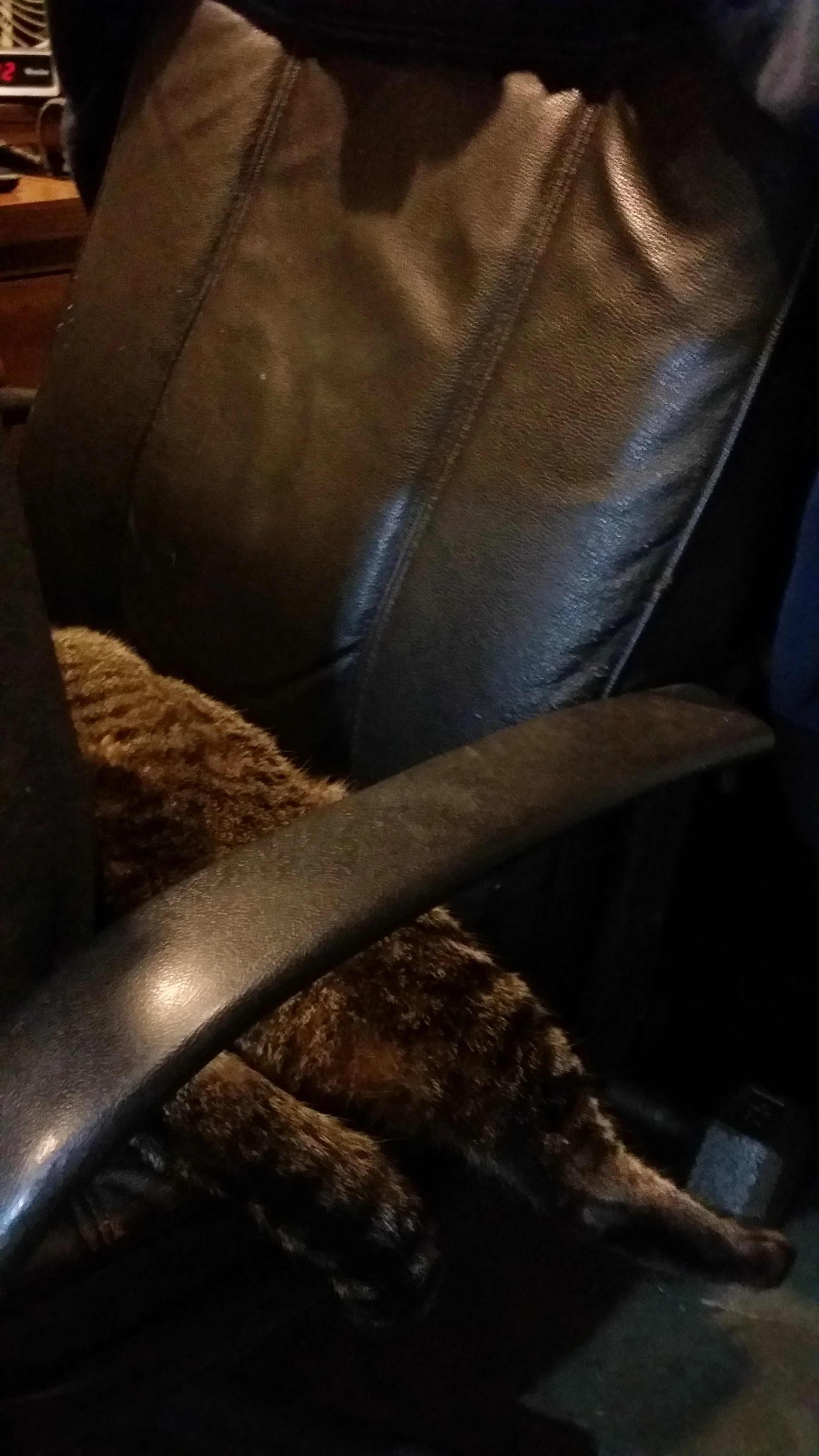 20150206_142429.jpg