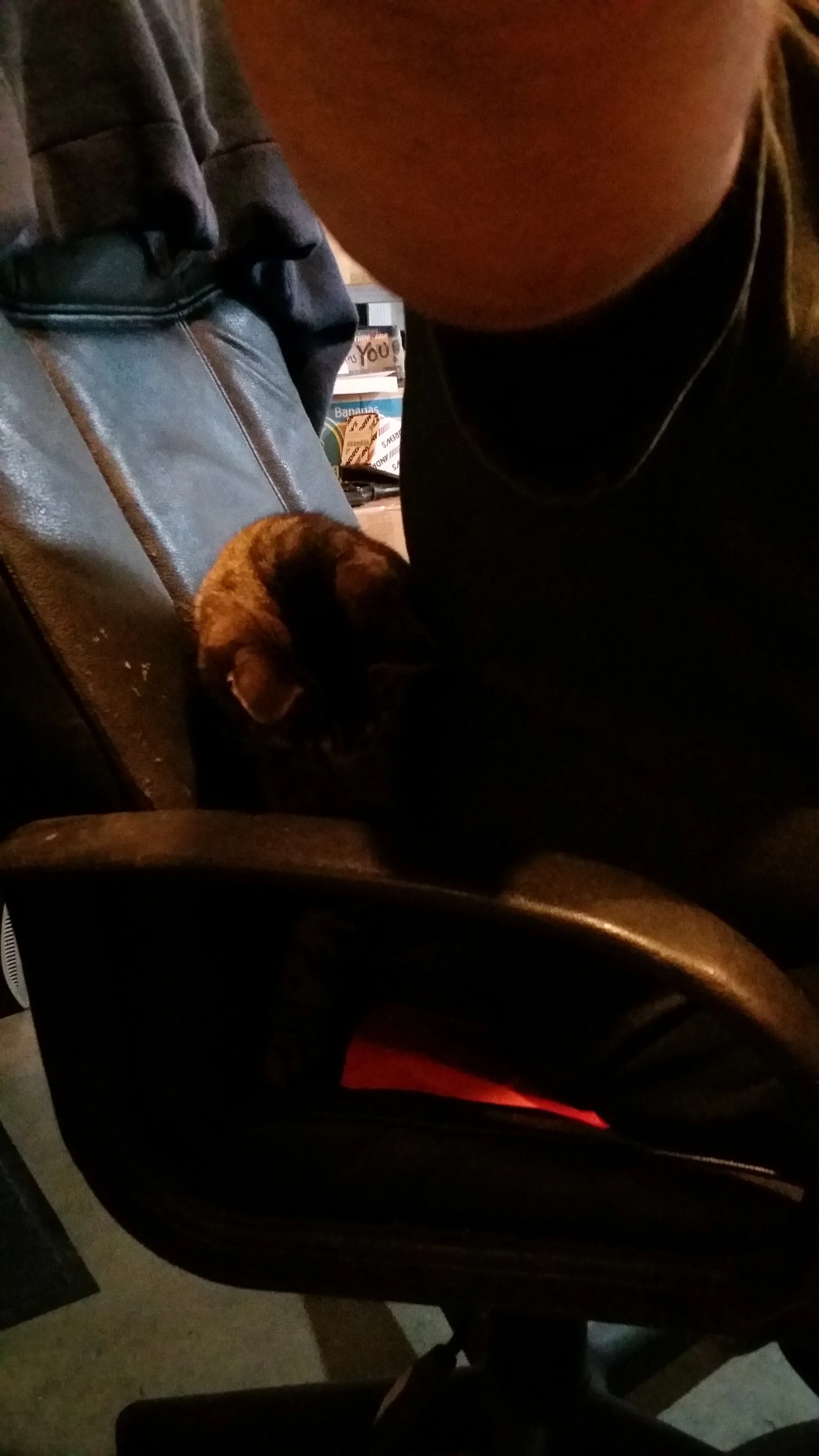 20150206_142709.jpg