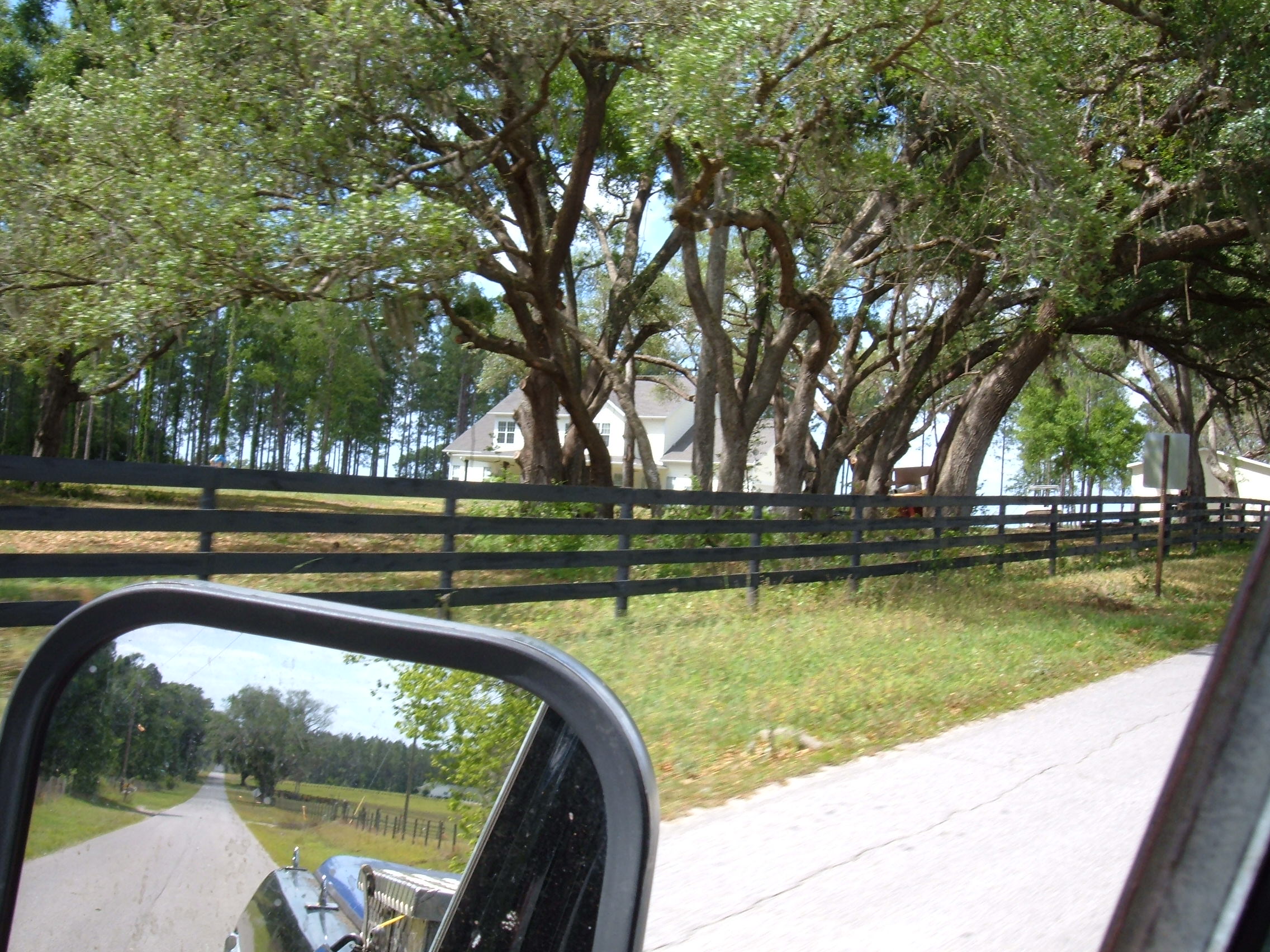 slowrides pictures#2 393.jpg