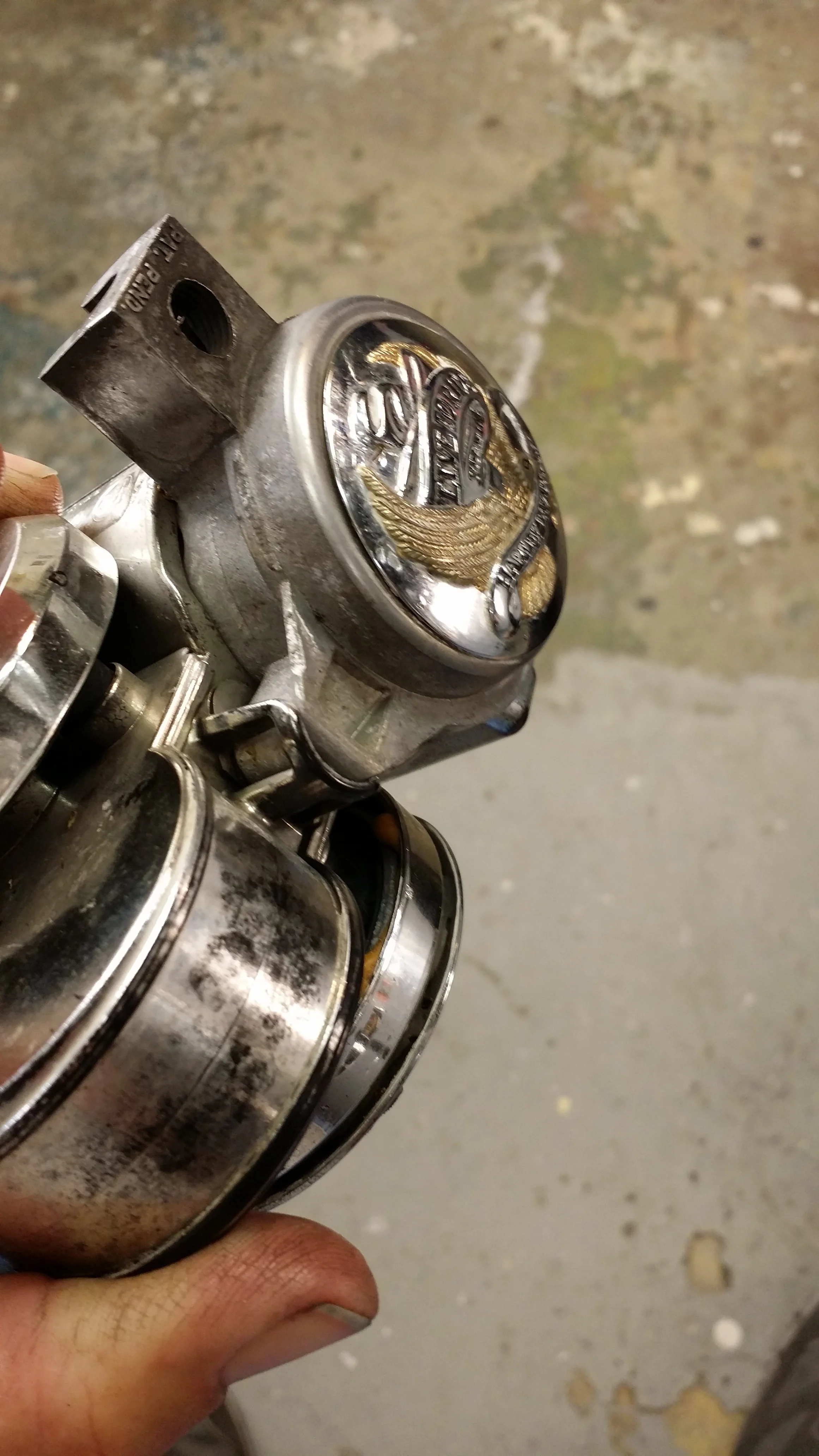 20150404_195949.jpg