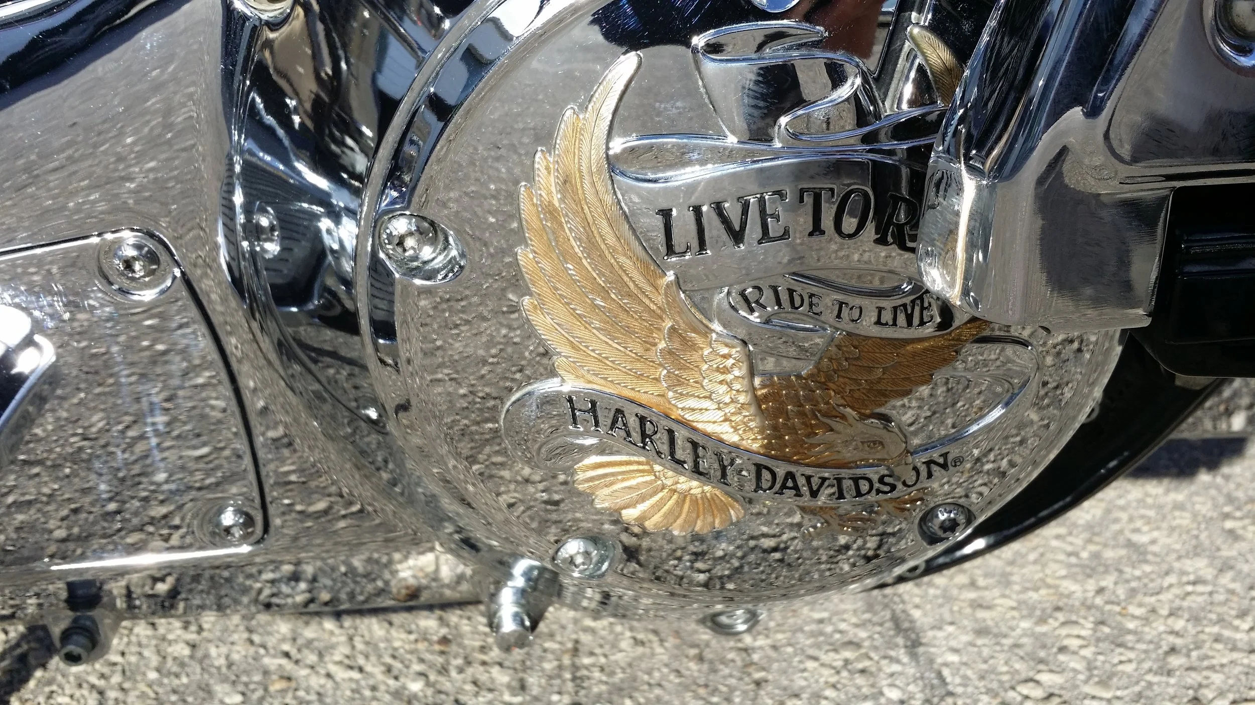 20150406_175338.jpg