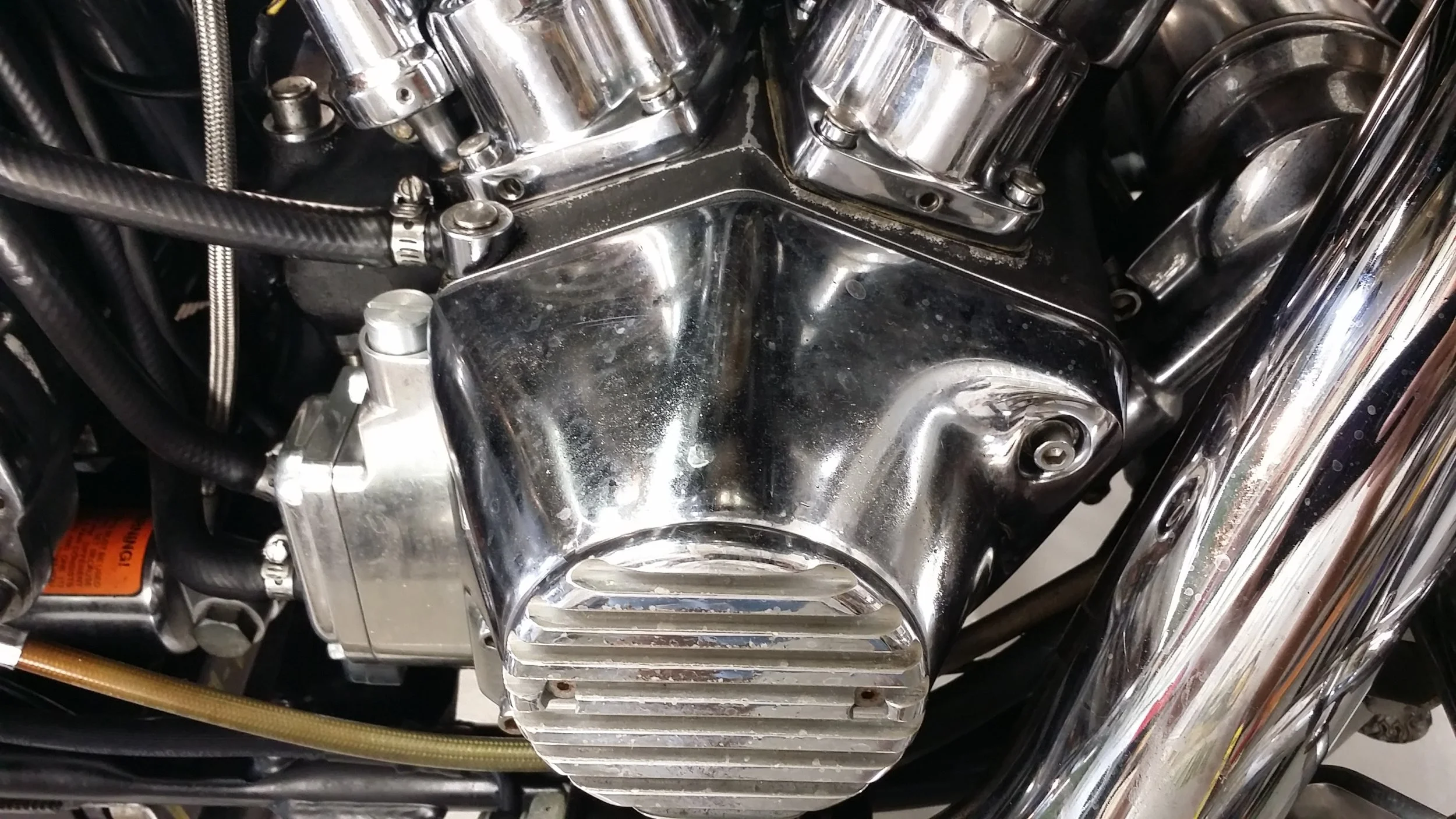 20150824_101624.jpg