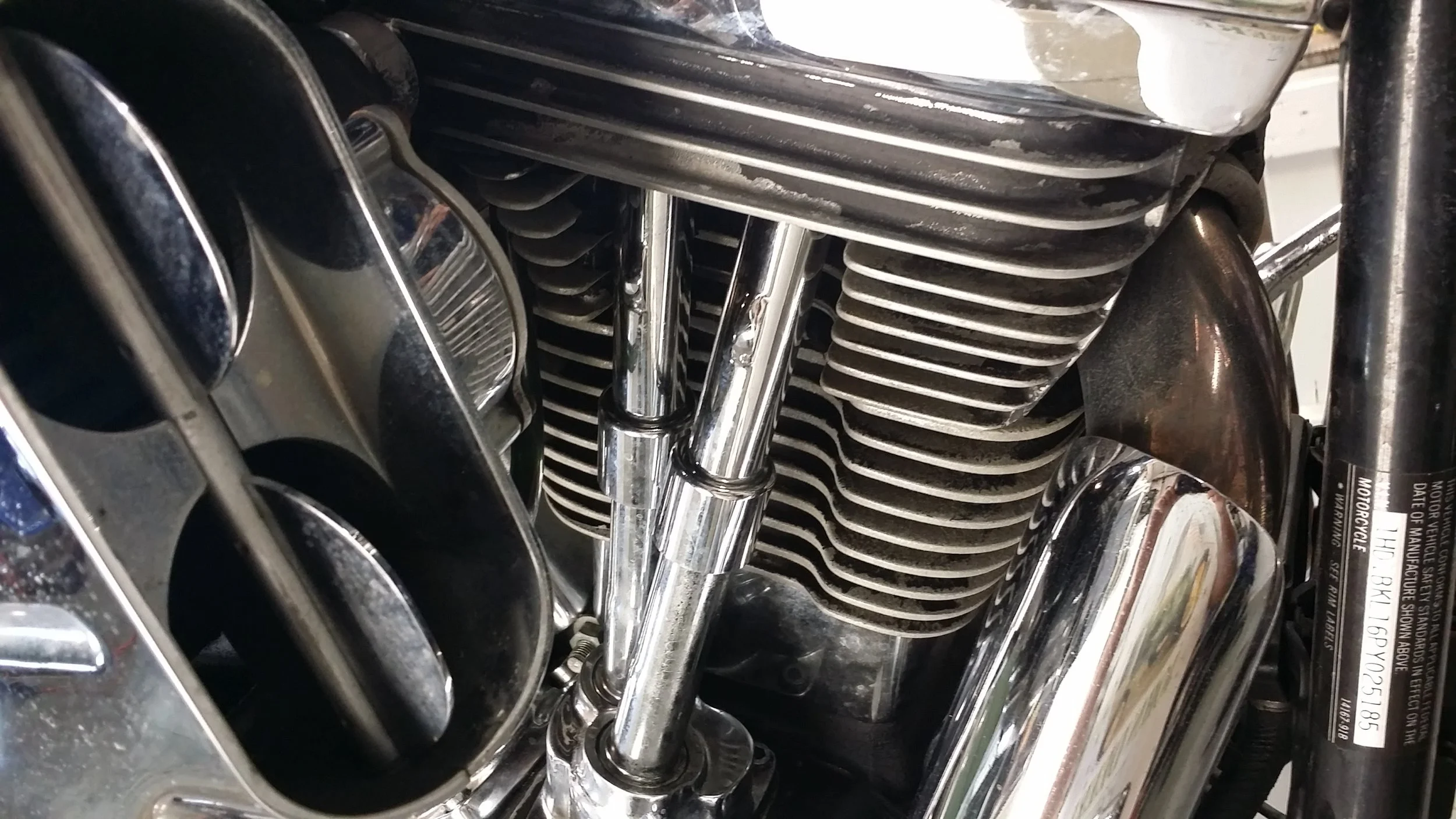 20150824_101628.jpg