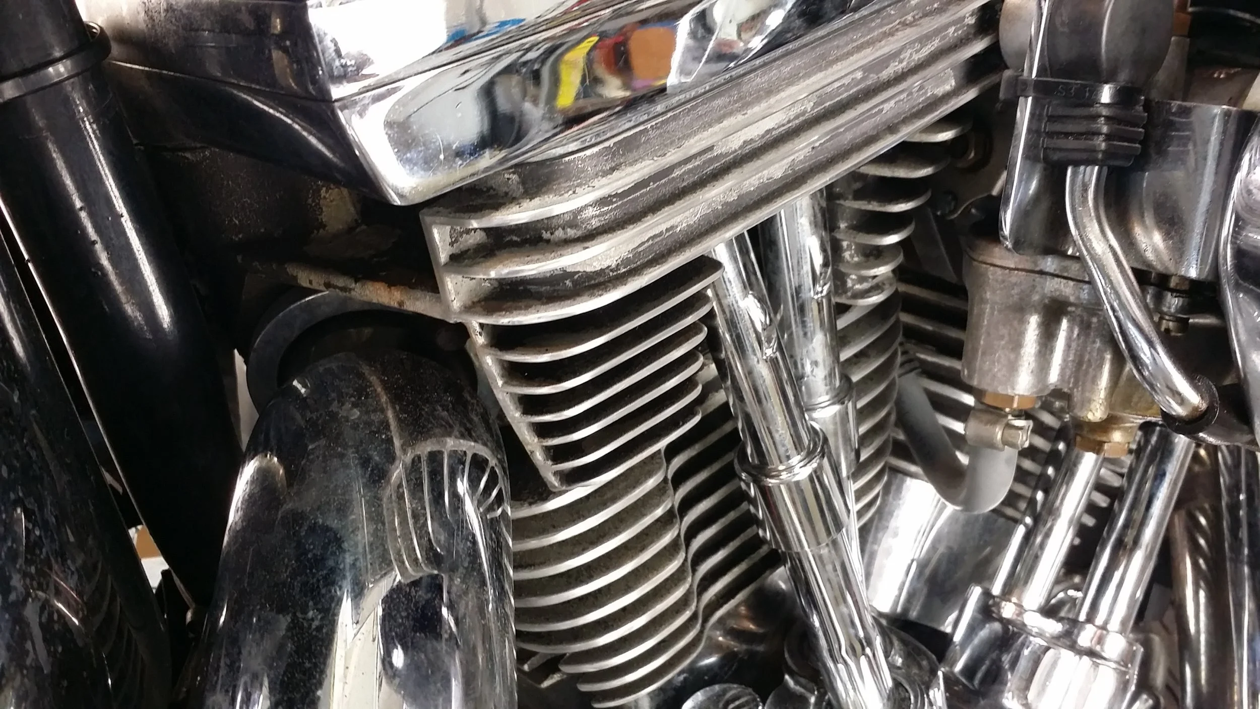 20150825_113039.jpg
