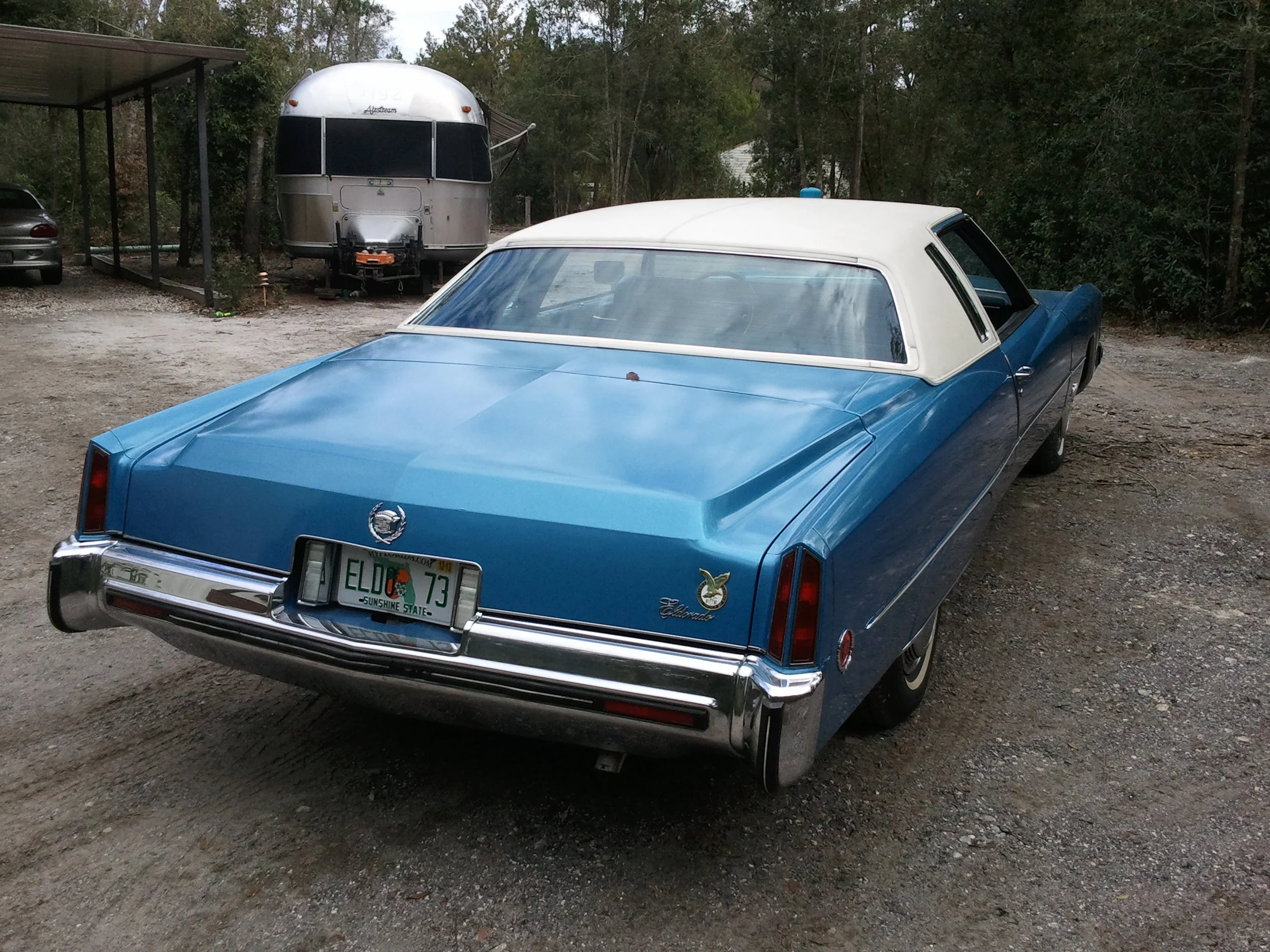 Android 1-22-2013 038.jpg