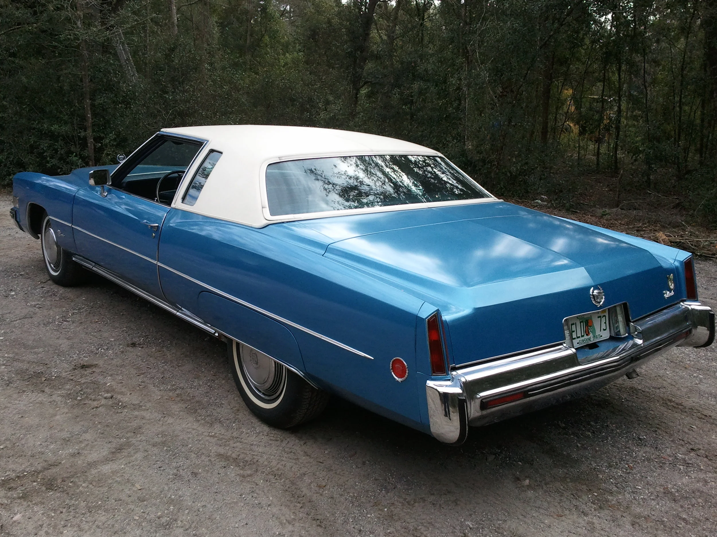 Android 1-22-2013 047.jpg