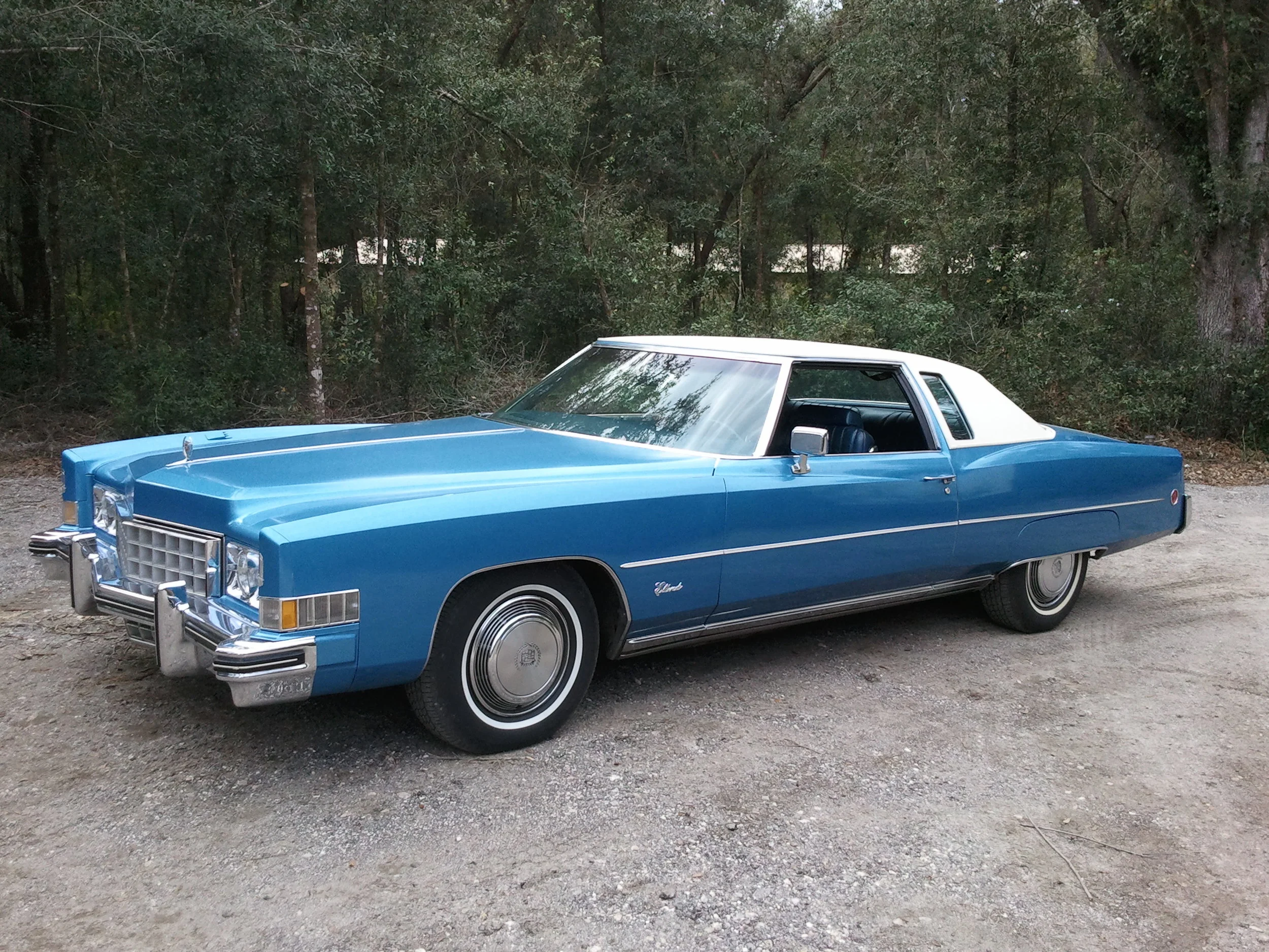 Android 1-22-2013 061.jpg