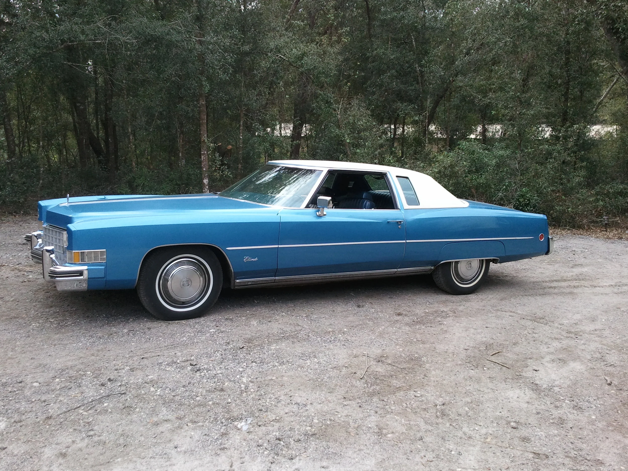 Android 1-22-2013 059.jpg