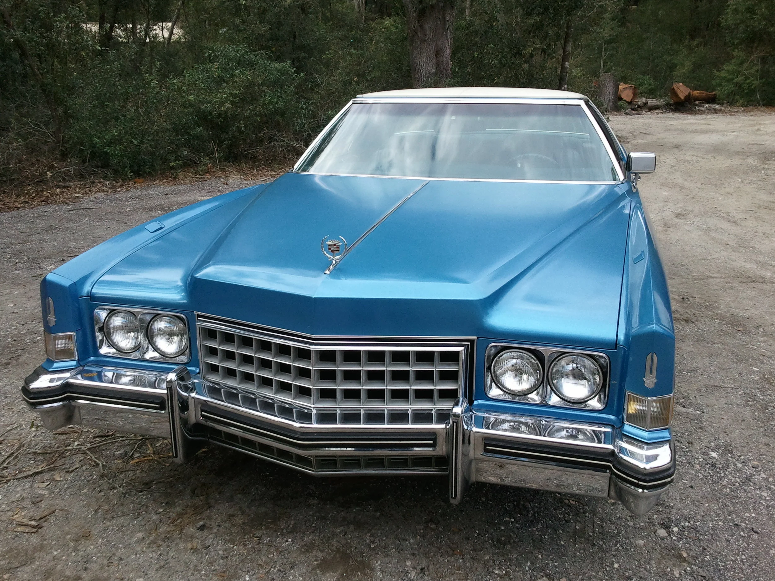 Android 1-22-2013 070.jpg