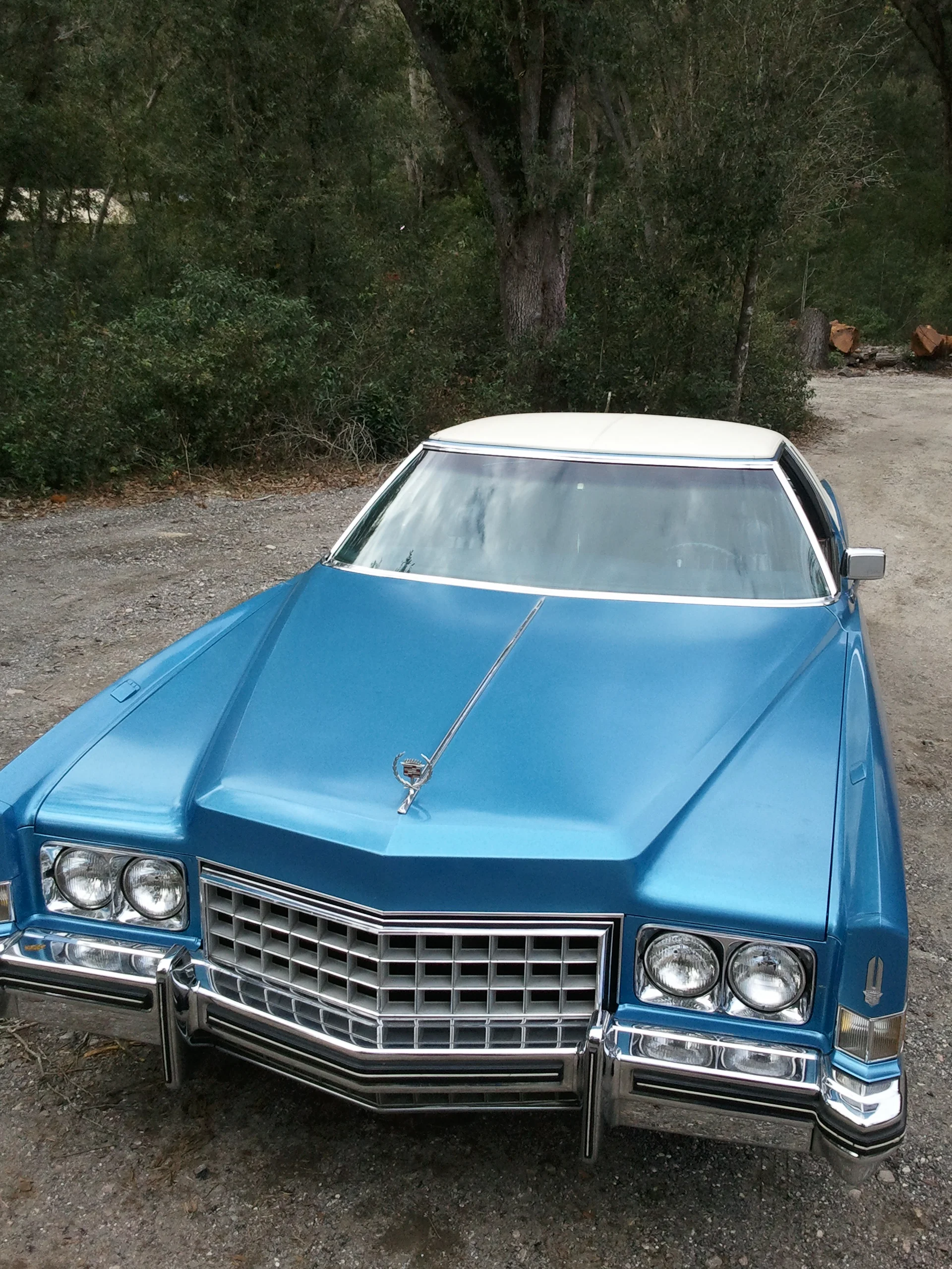 Android 1-22-2013 072.jpg