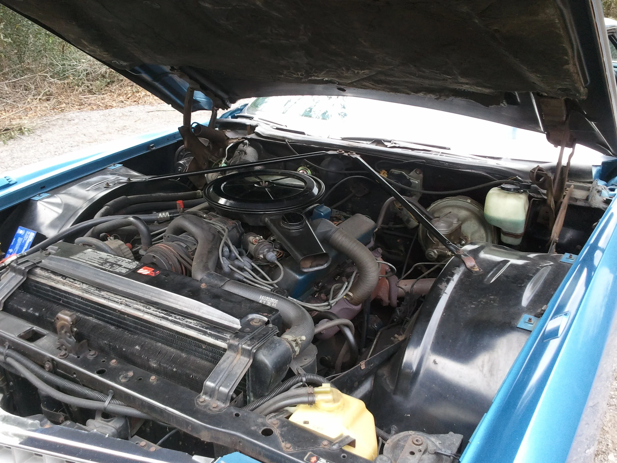 Android 1-22-2013 088.jpg