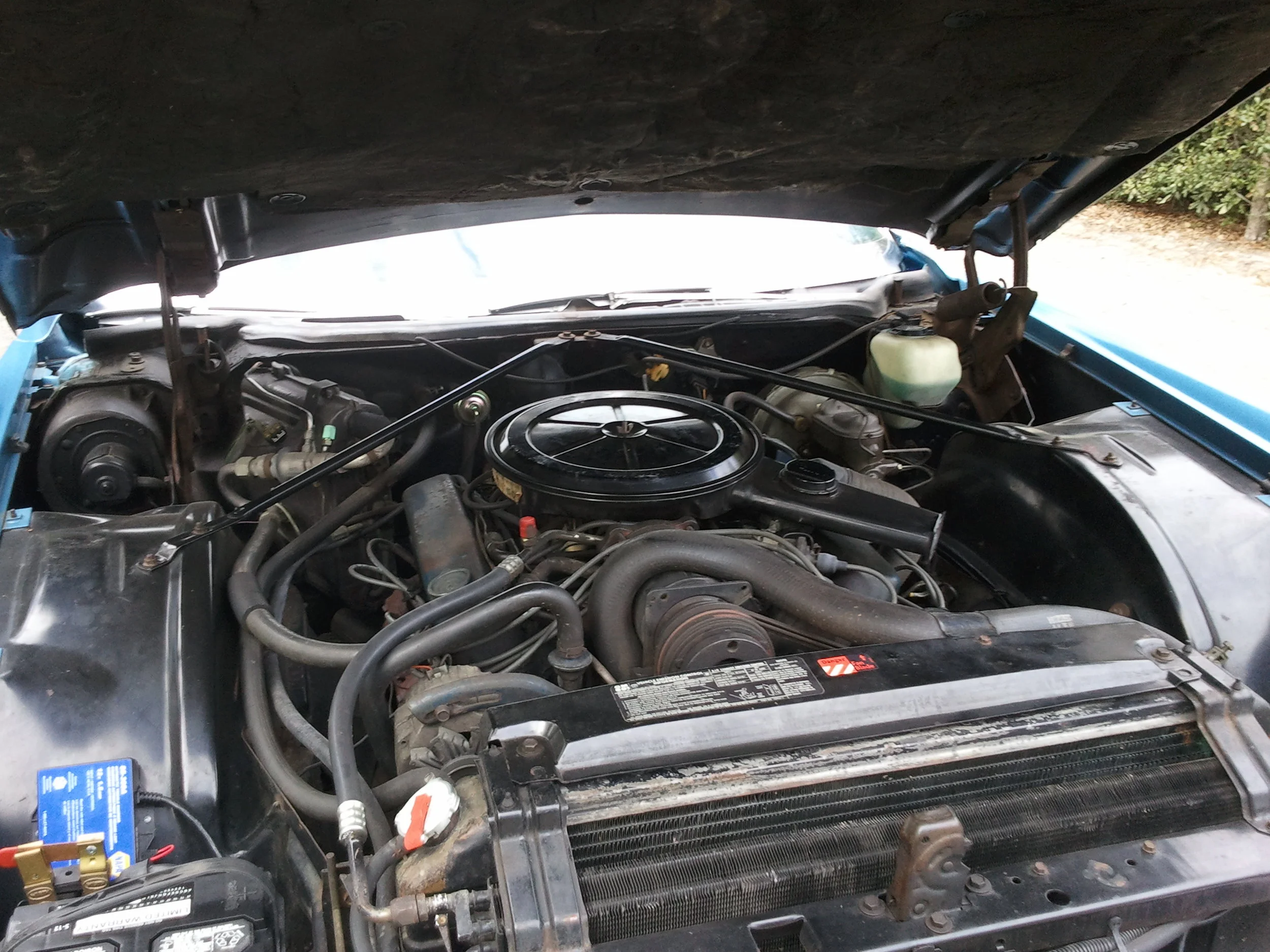 Android 1-22-2013 093.jpg