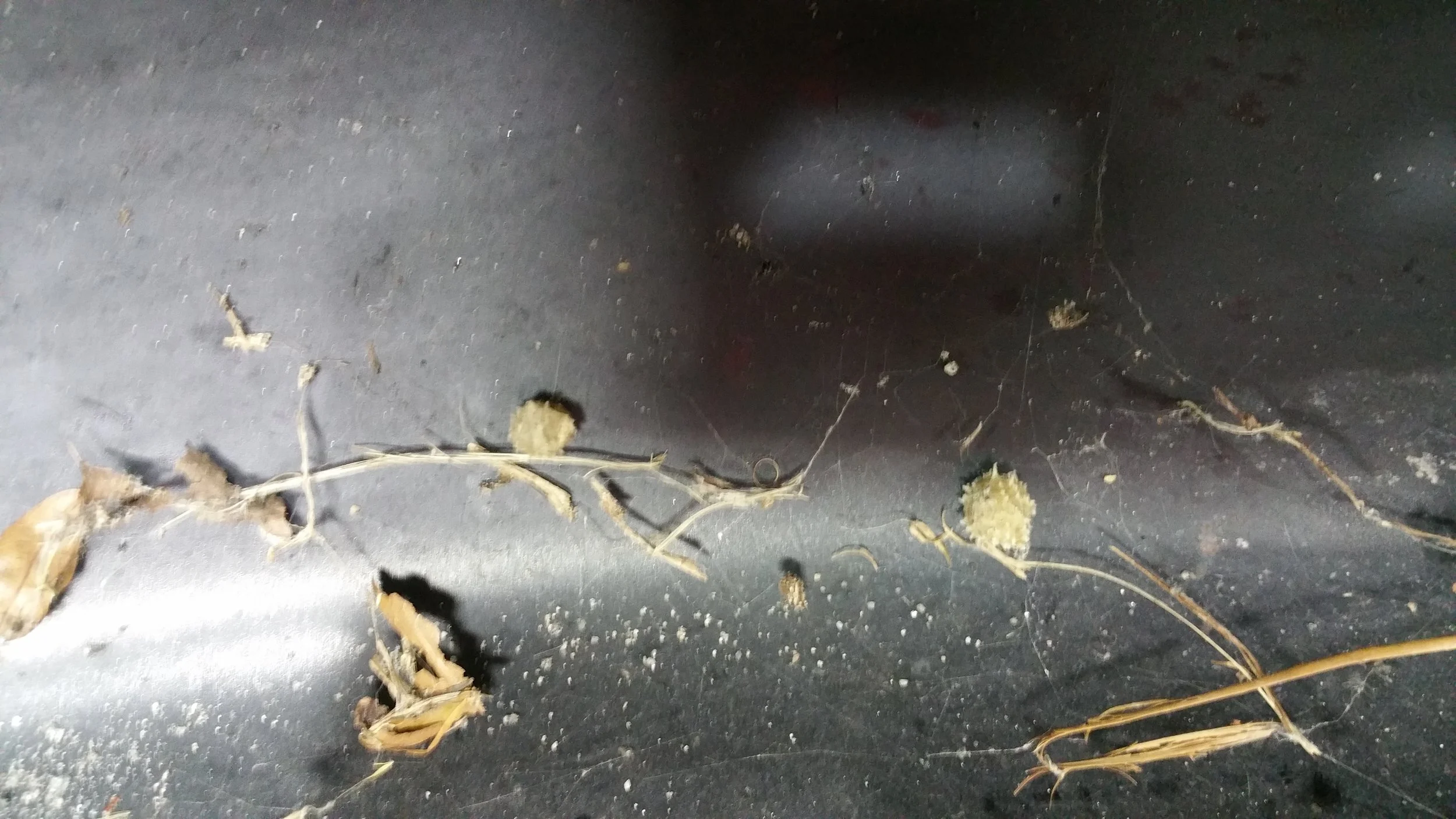 20180930_201335.jpg