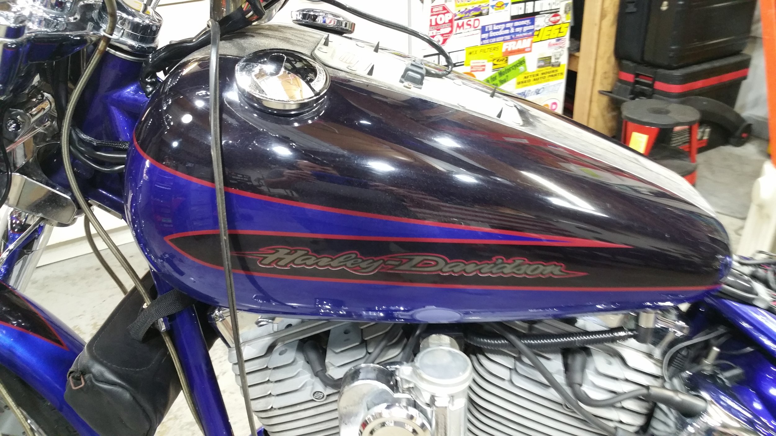 20190125_115648.jpg