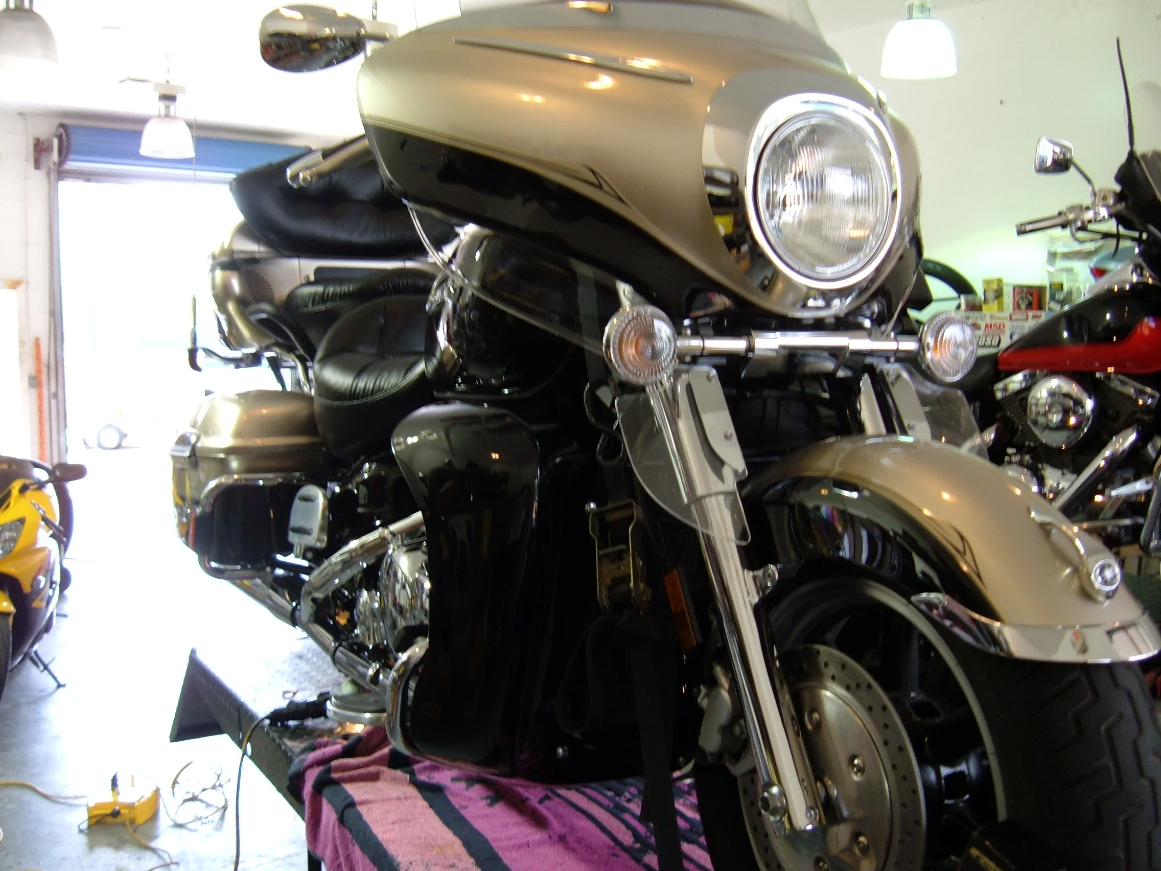 TEMP March 2012 073.JPG