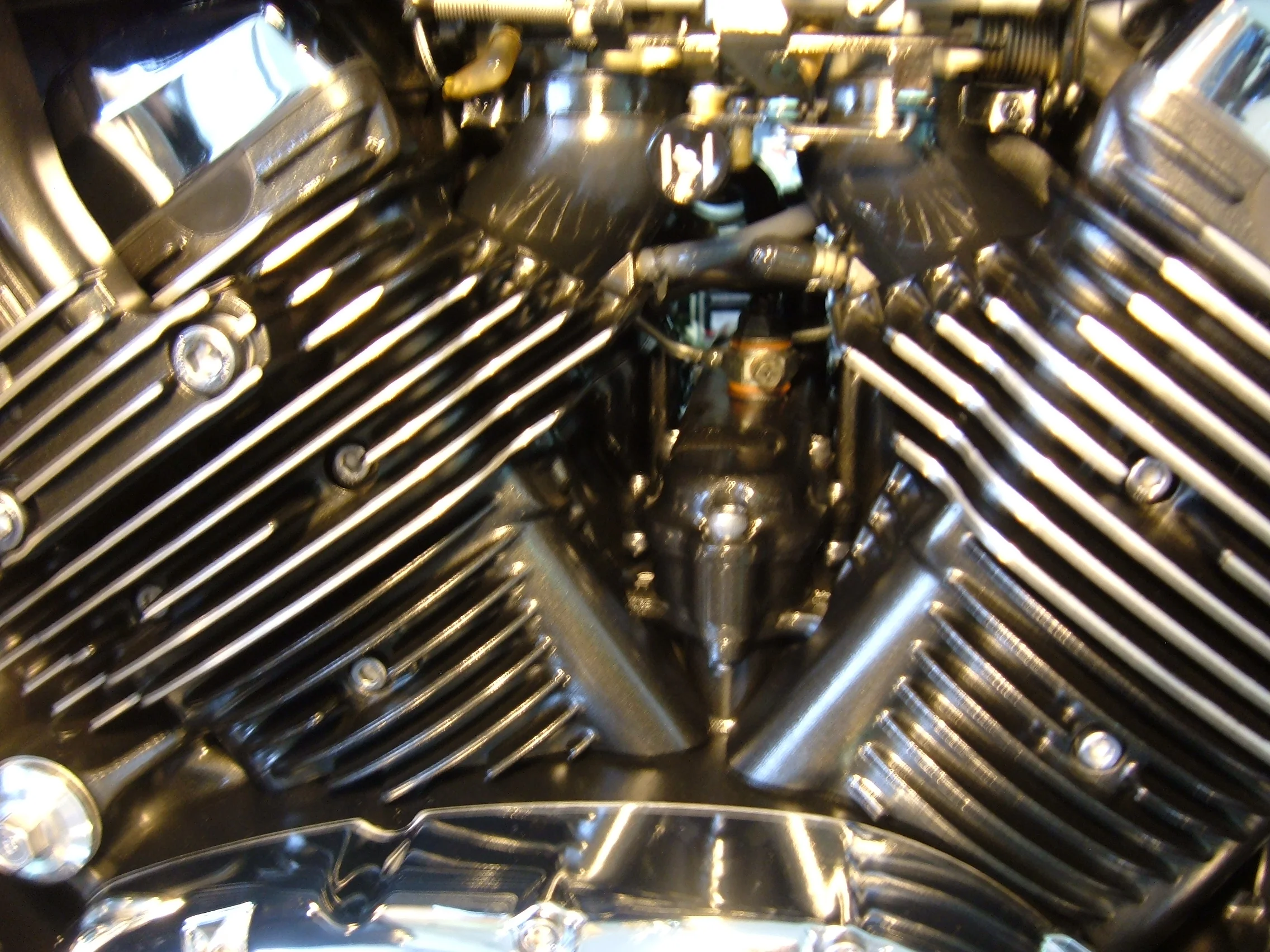 TEMP March 2012 080.JPG