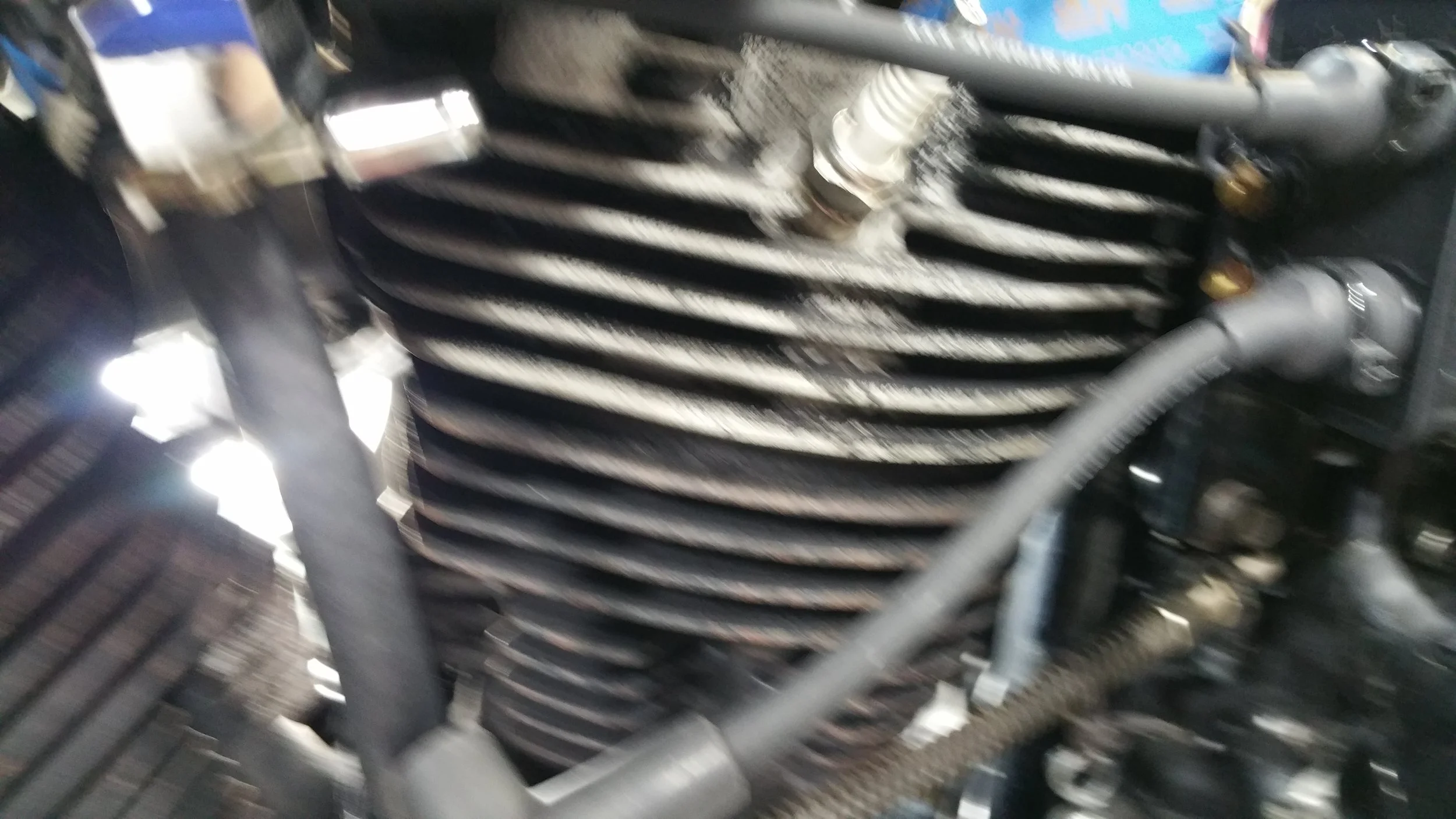 20190621_121331.jpg